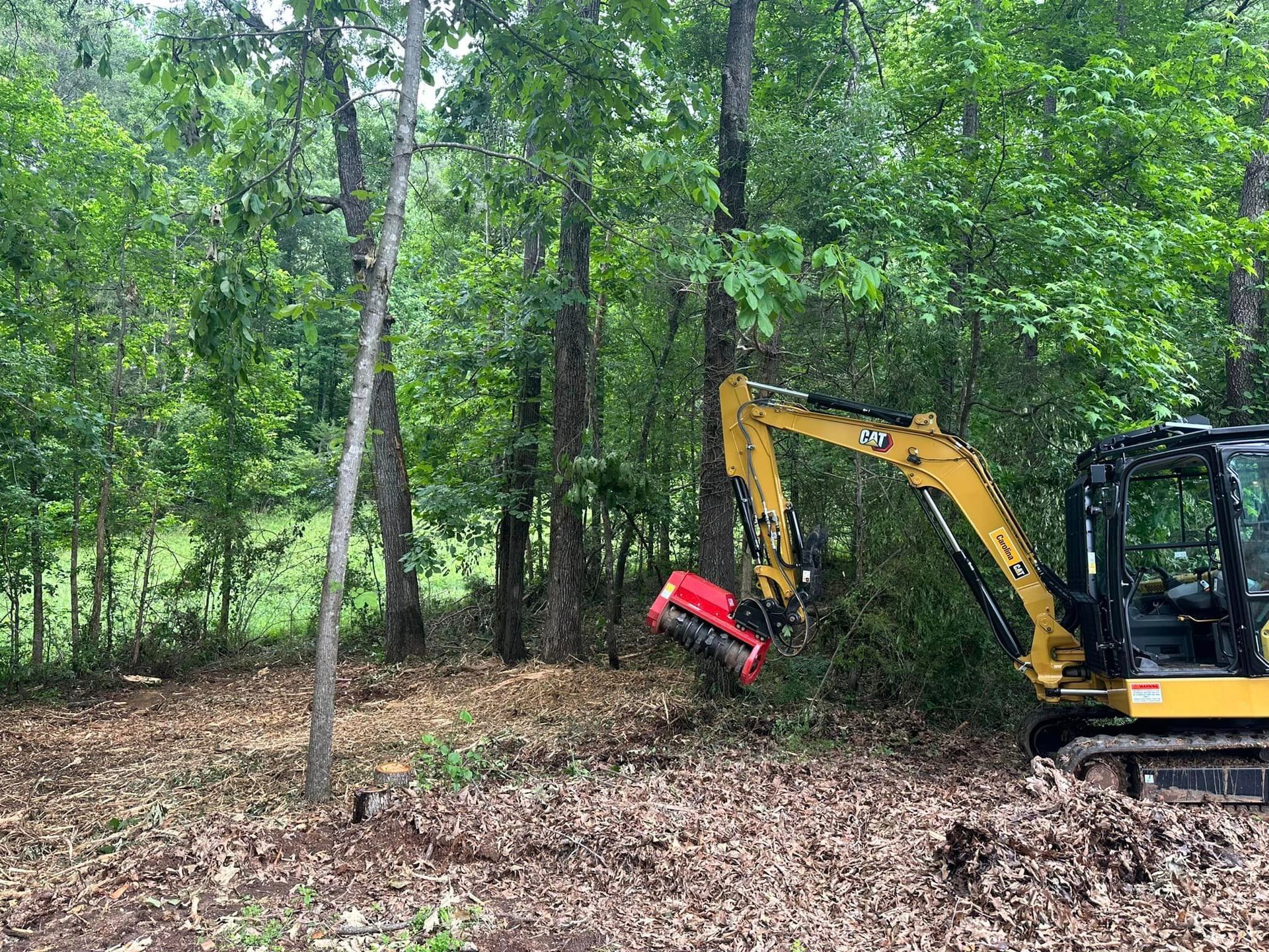A yellow excavator is cutting a tree in the woods.