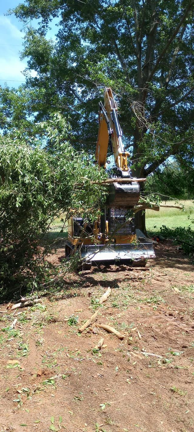 A bulldozer is cutting down a tree in a field.