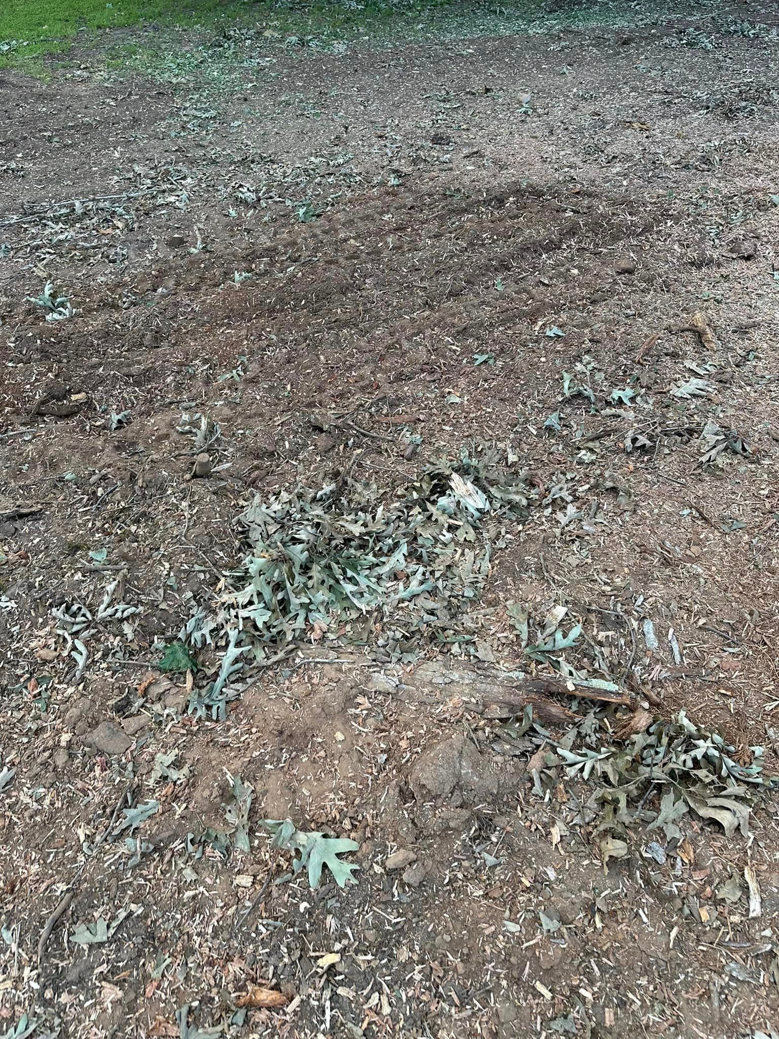 A pile of dirt and leaves on the ground.