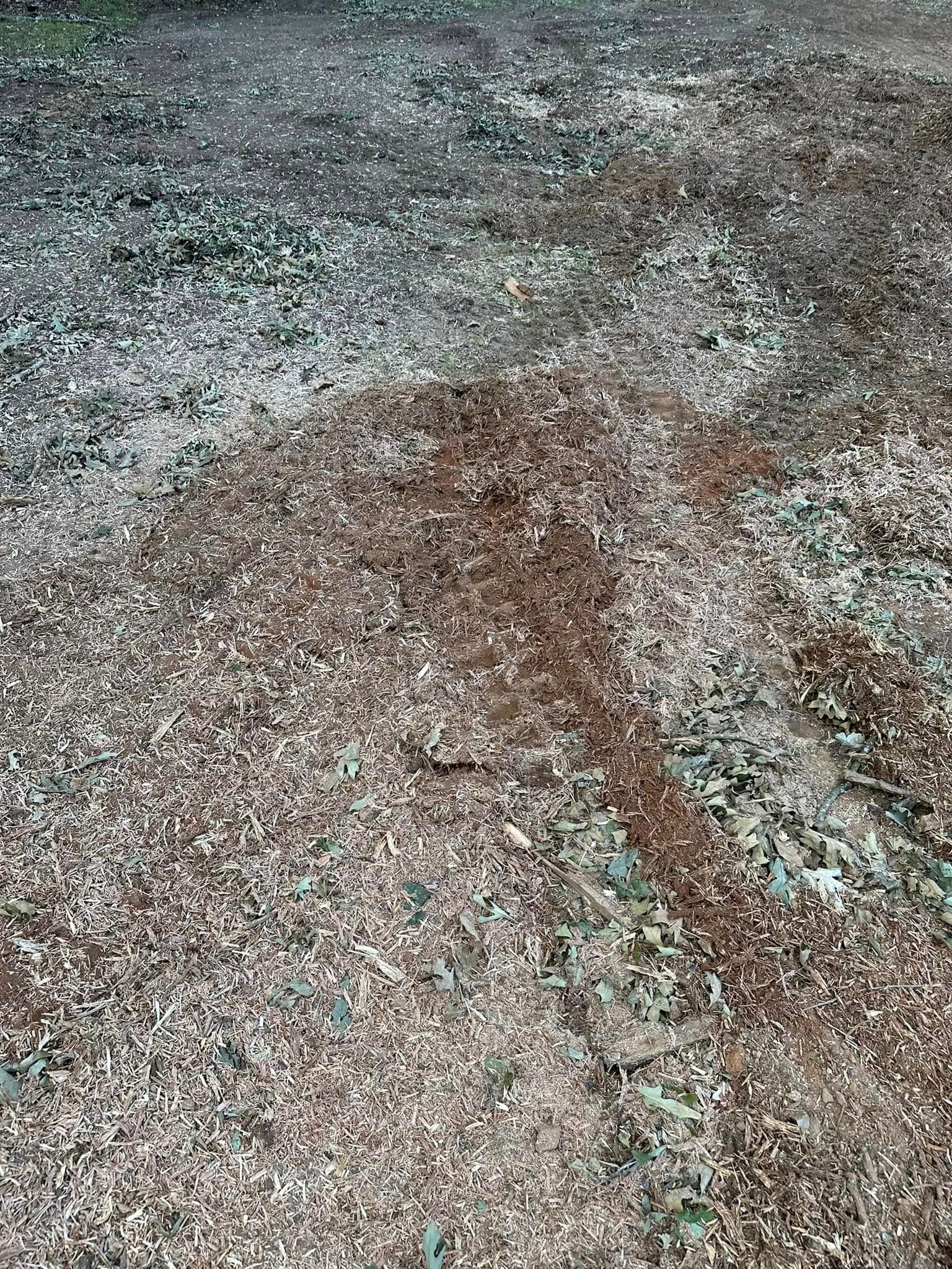A close up of a pile of gravel on the ground.