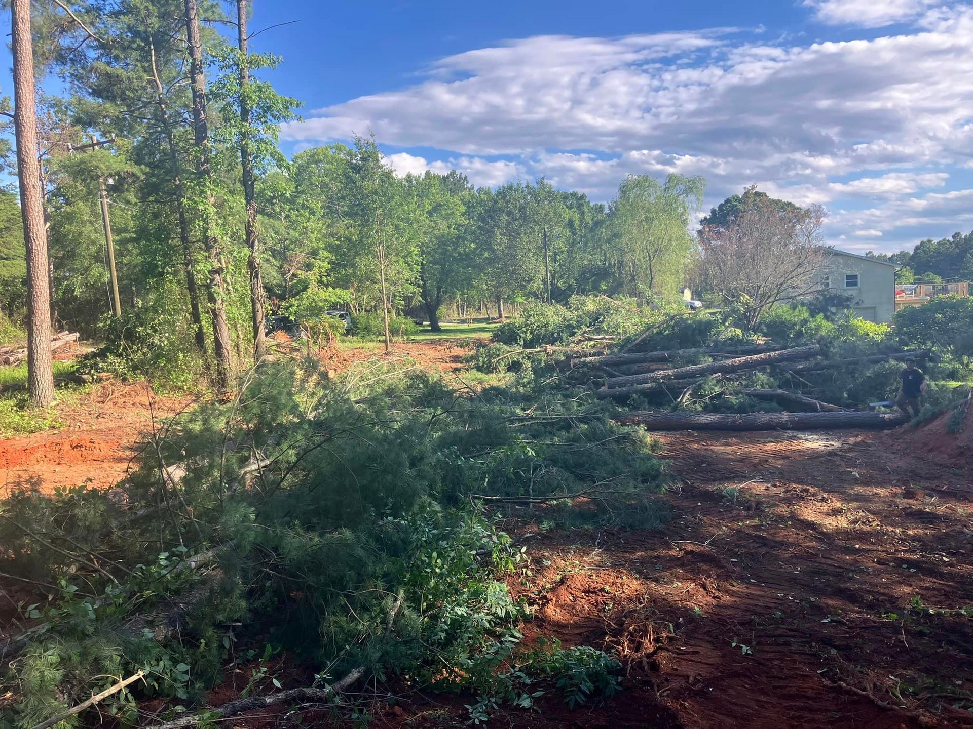 A pile of fallen trees in a field with a house in the background.