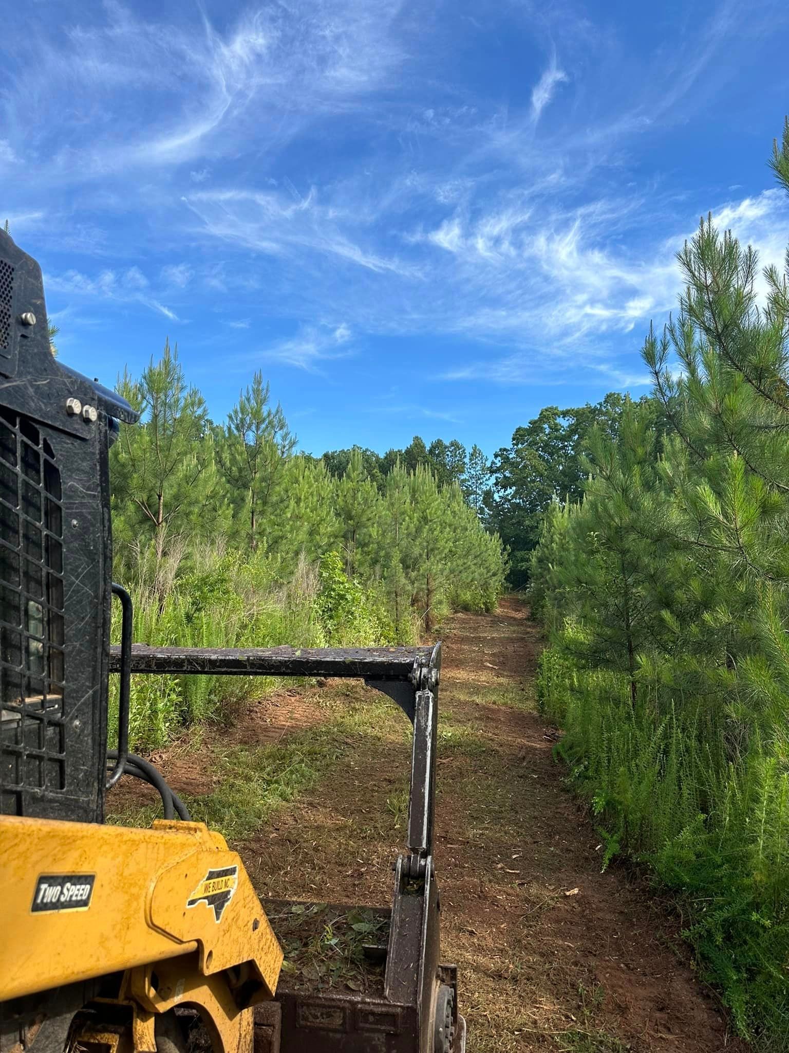 A bulldozer is driving down a dirt road in a forest.