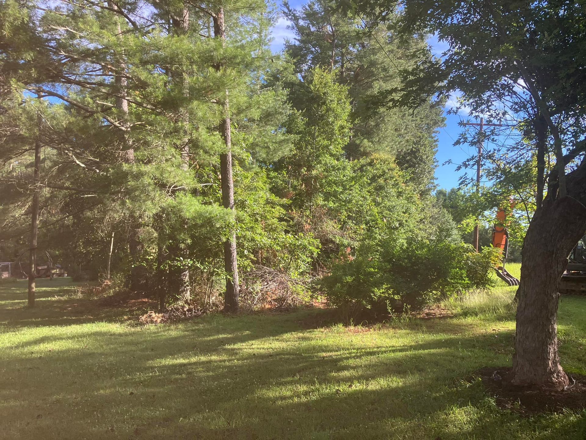 A lush green field surrounded by trees on a sunny day