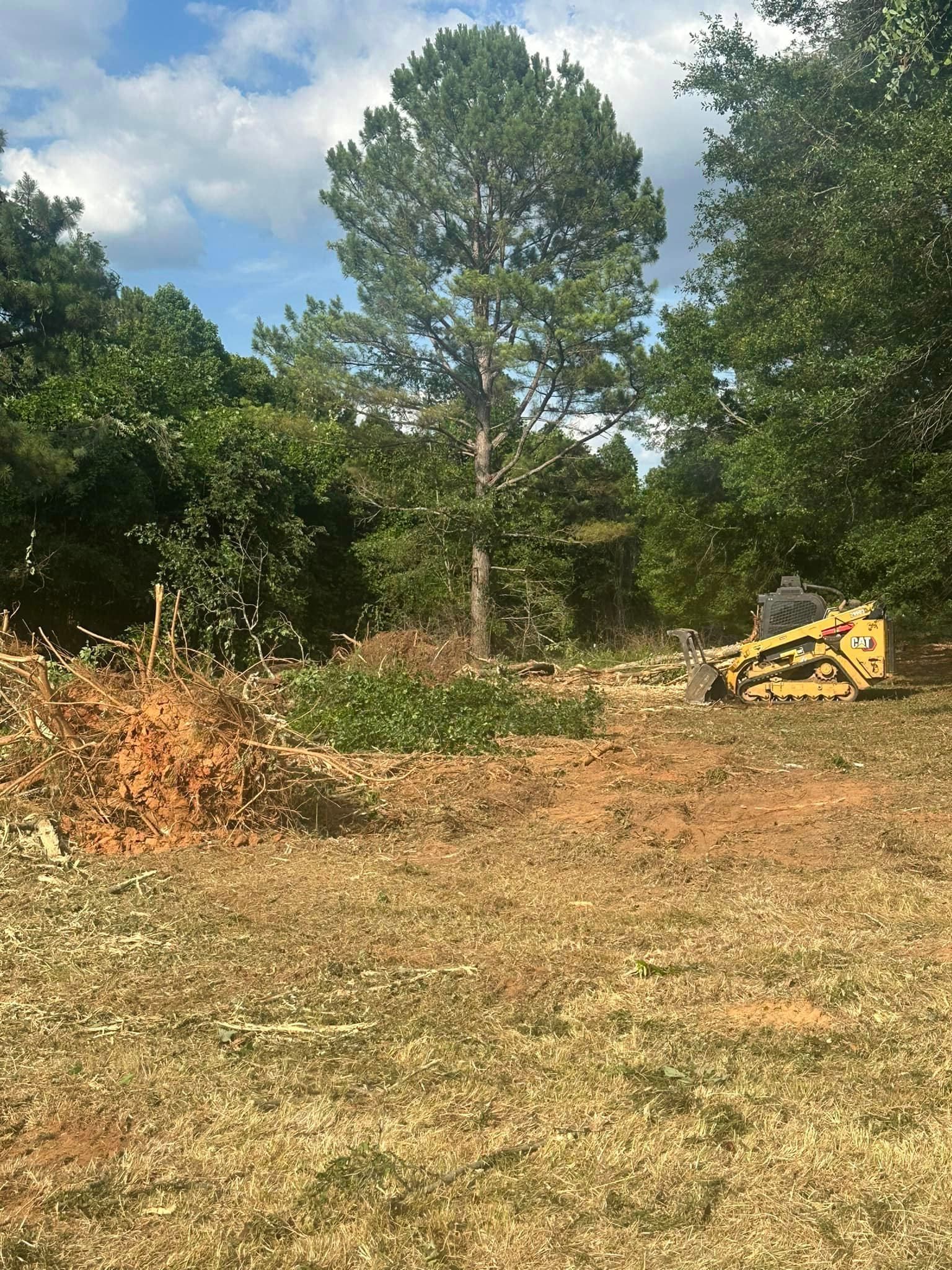 A tractor is cutting down trees in a field.