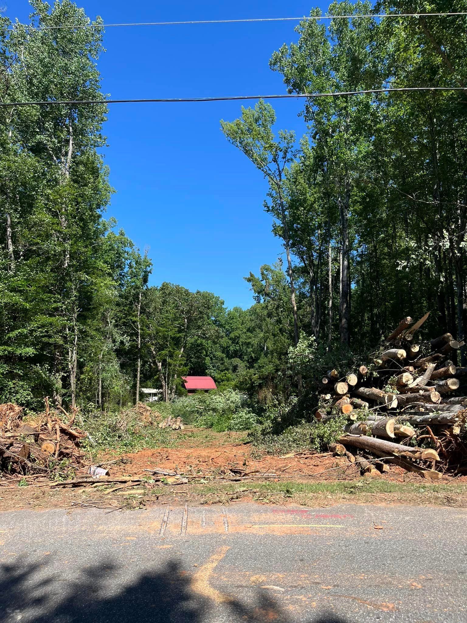 A pile of logs is sitting on the side of a road next to a forest.