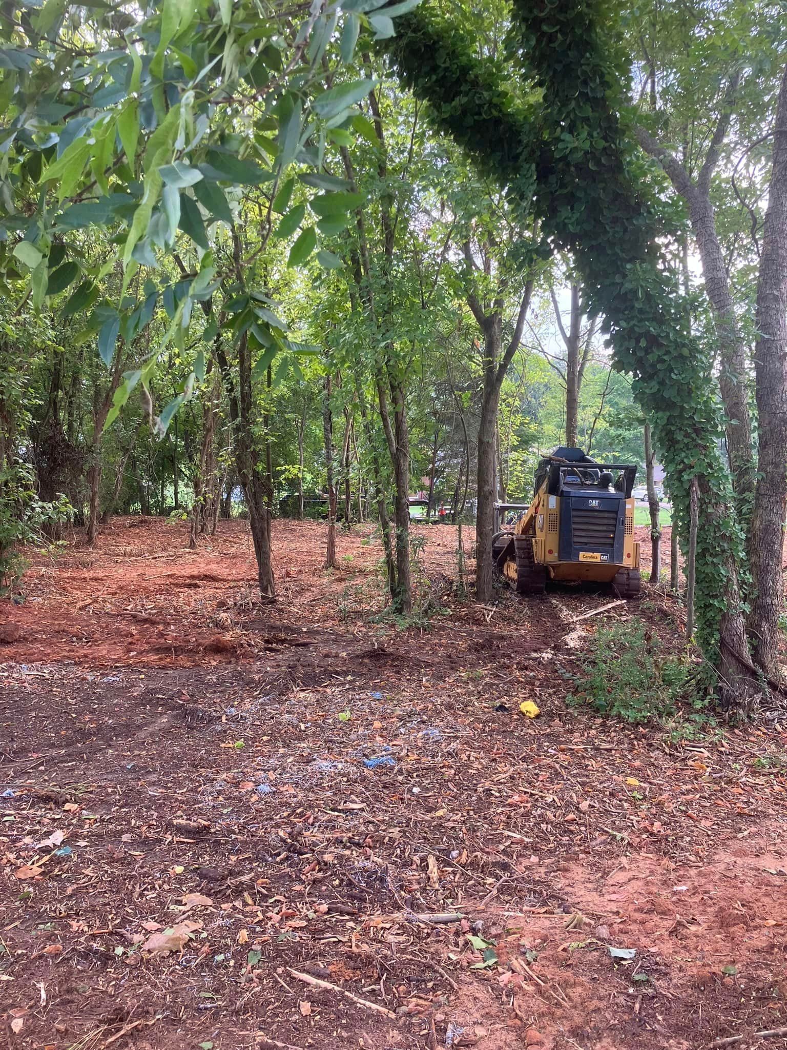 A bulldozer is driving through a lush green forest.