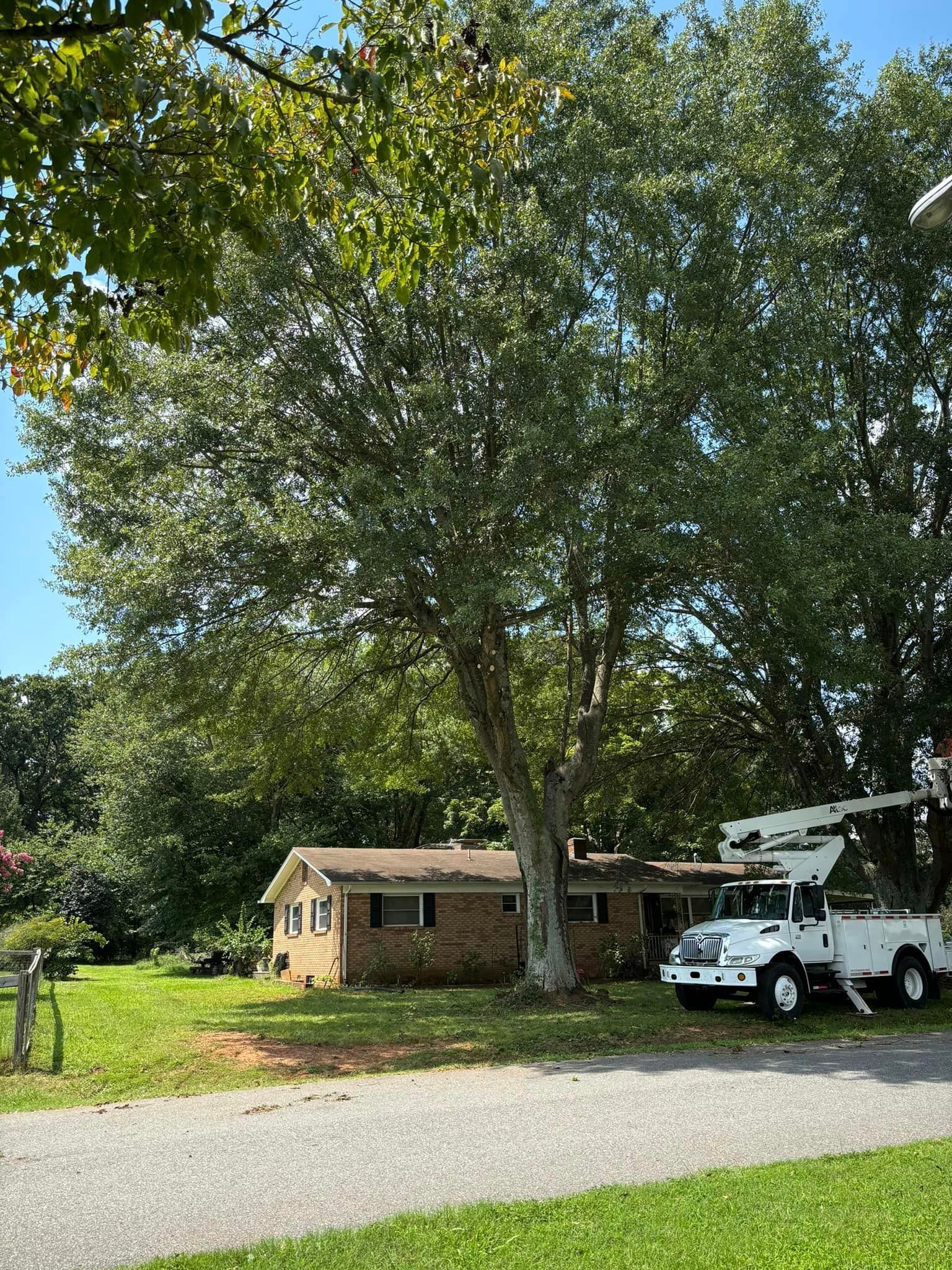 A white truck is parked in front of a house next to a tree.