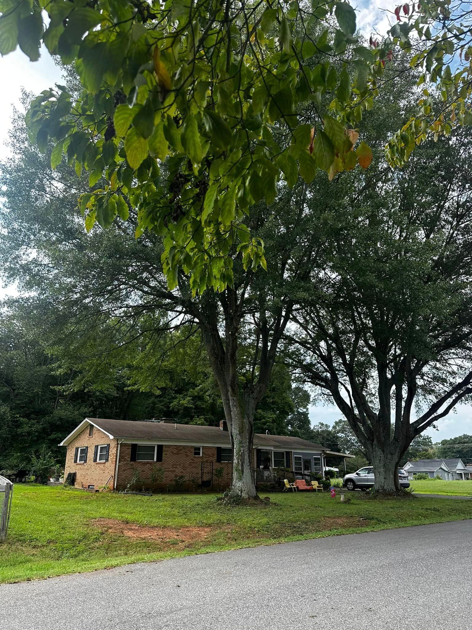 A house is sitting in the middle of a grassy field surrounded by trees.