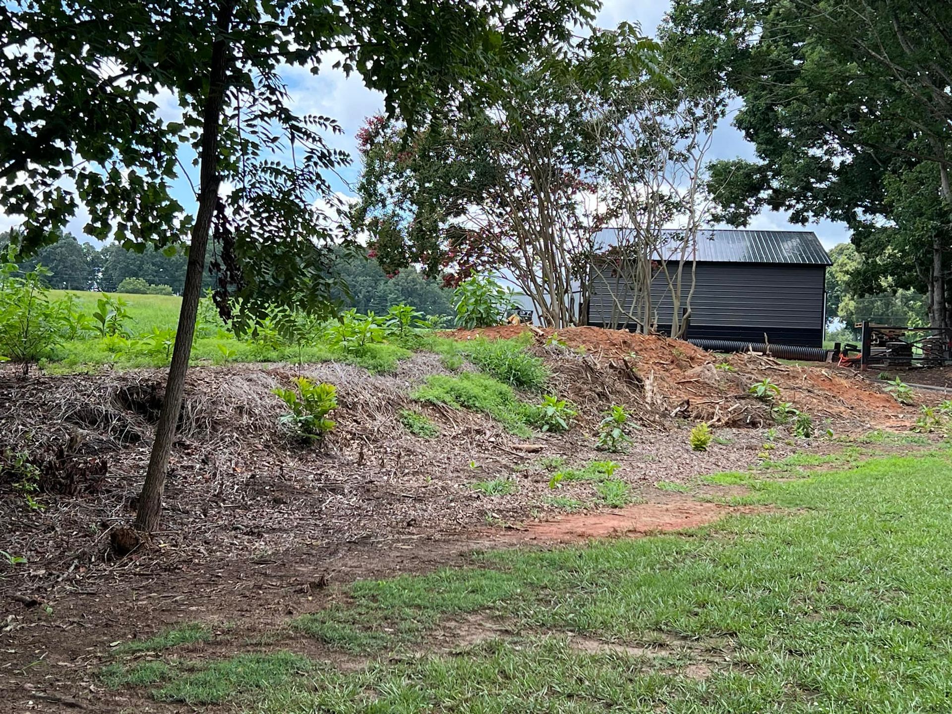 A small house is sitting in the middle of a grassy field surrounded by trees.