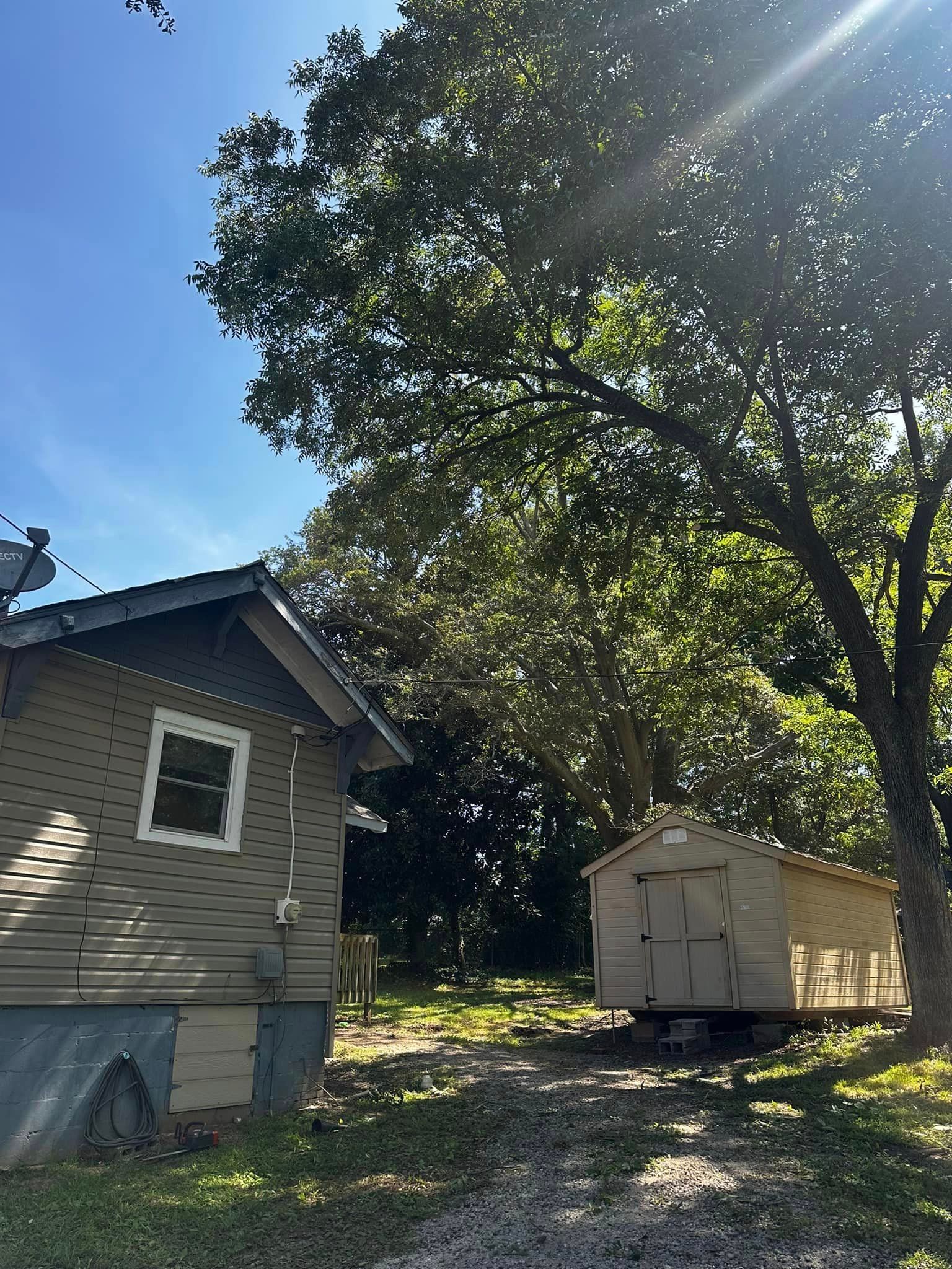 A small house with a shed in the backyard surrounded by trees.