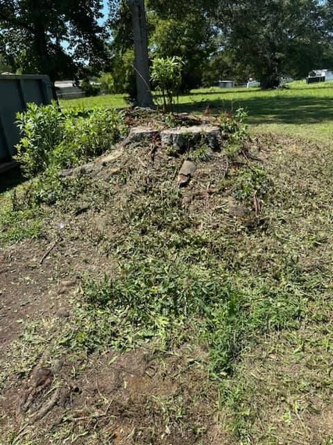 A pile of stump in the middle of a grassy field.