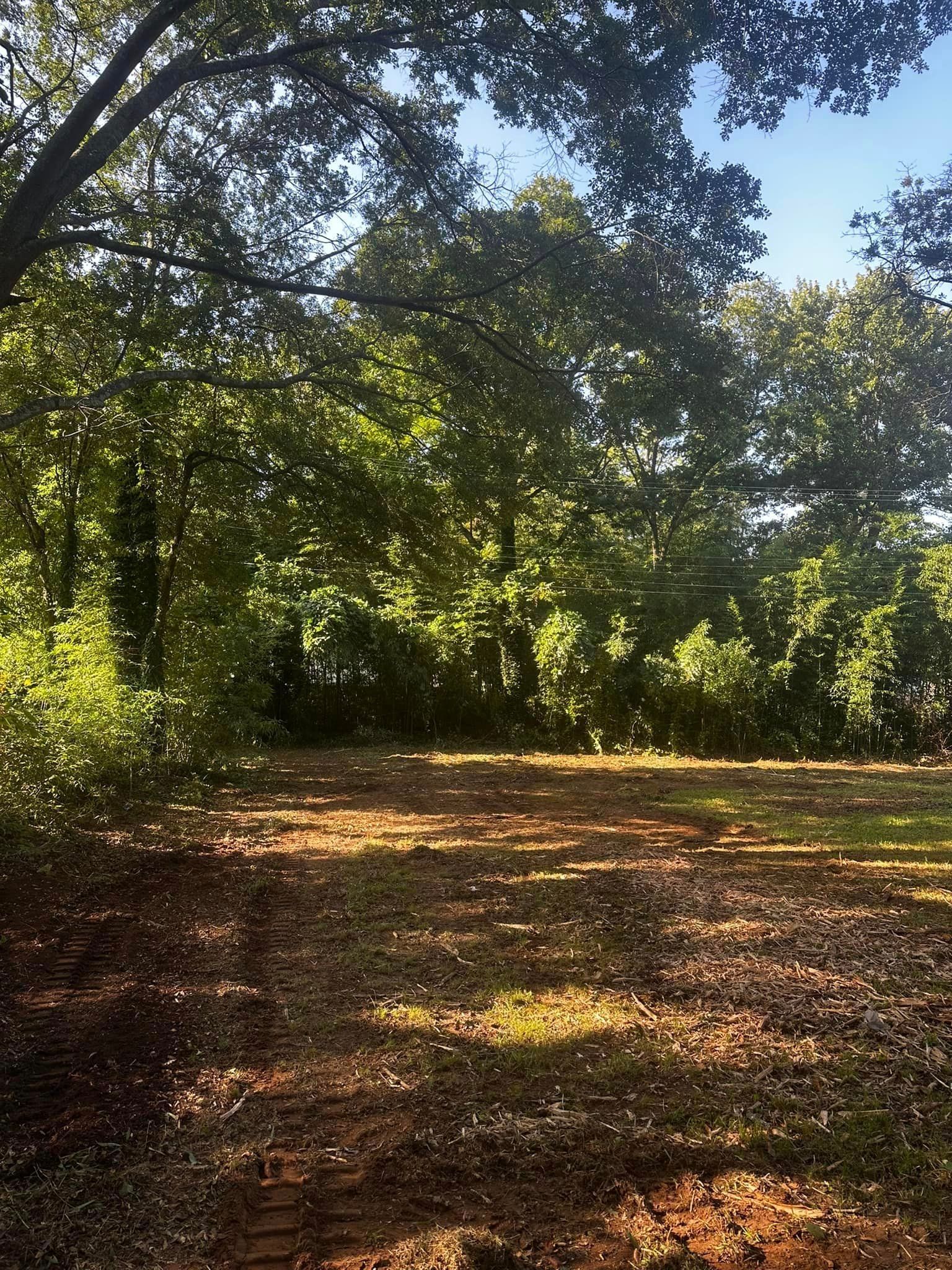 A dirt field surrounded by trees on a sunny day.