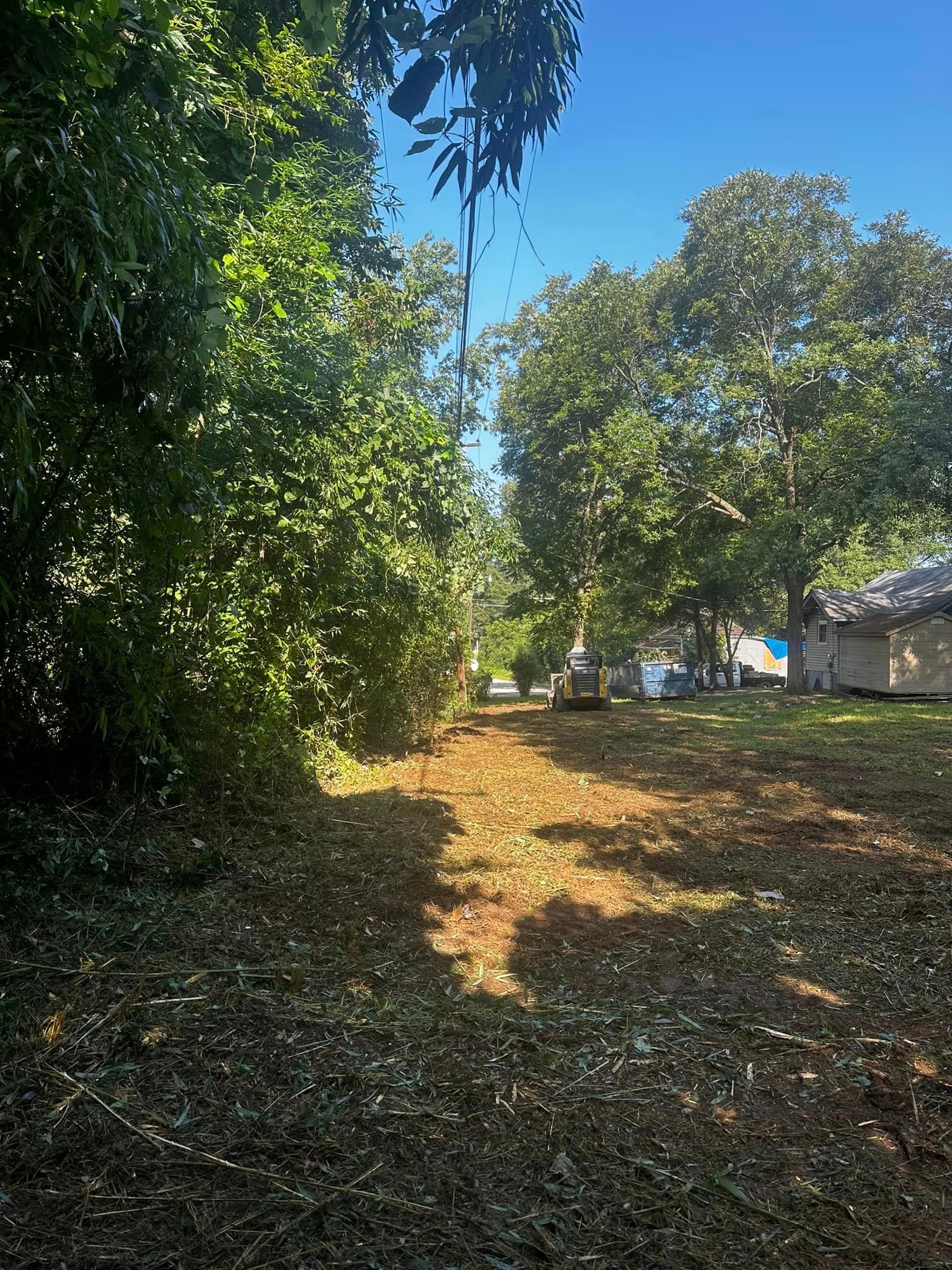 A dirt road surrounded by trees and bushes on a sunny day.
