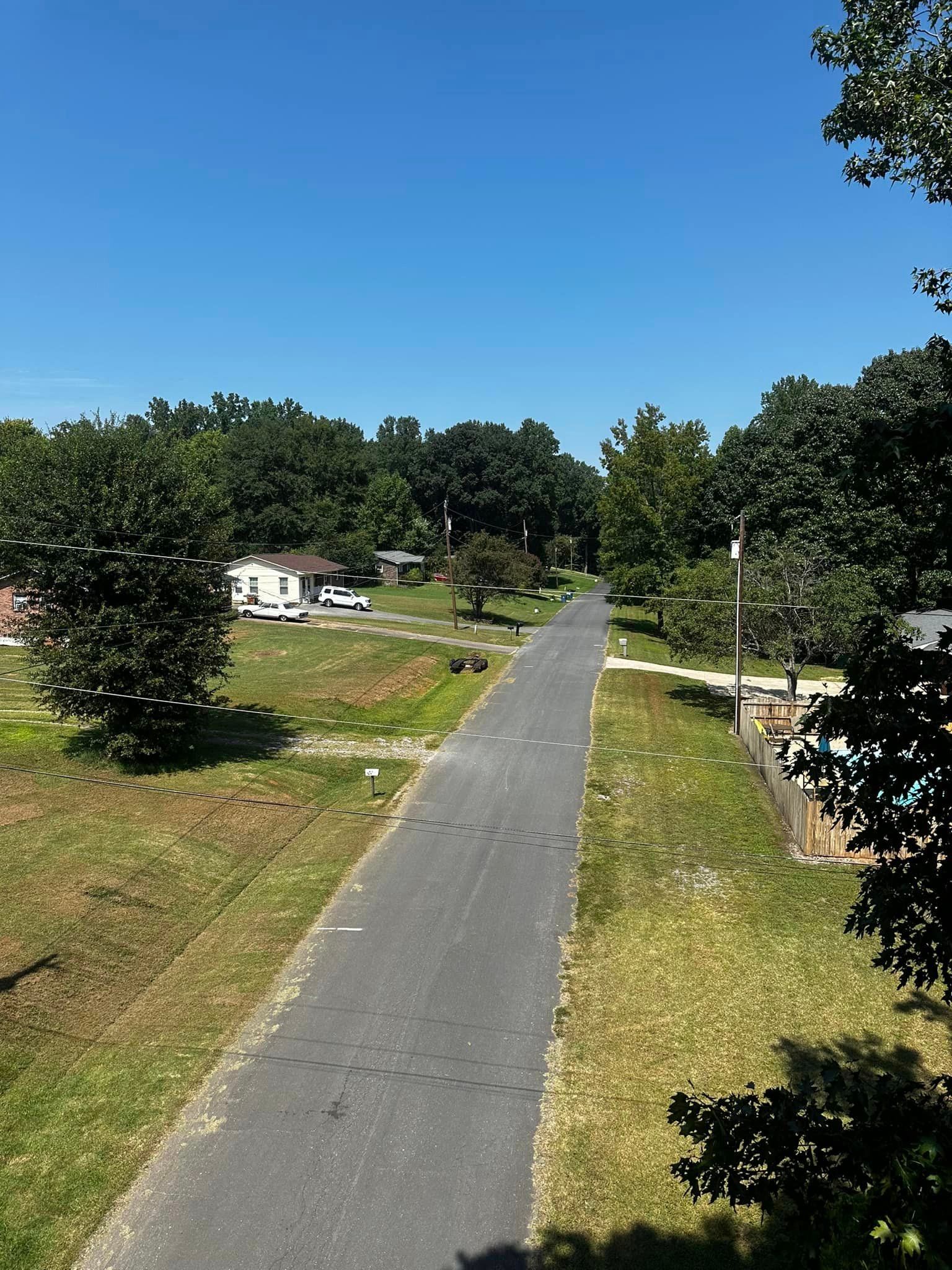 A road going through a grassy area with trees on both sides