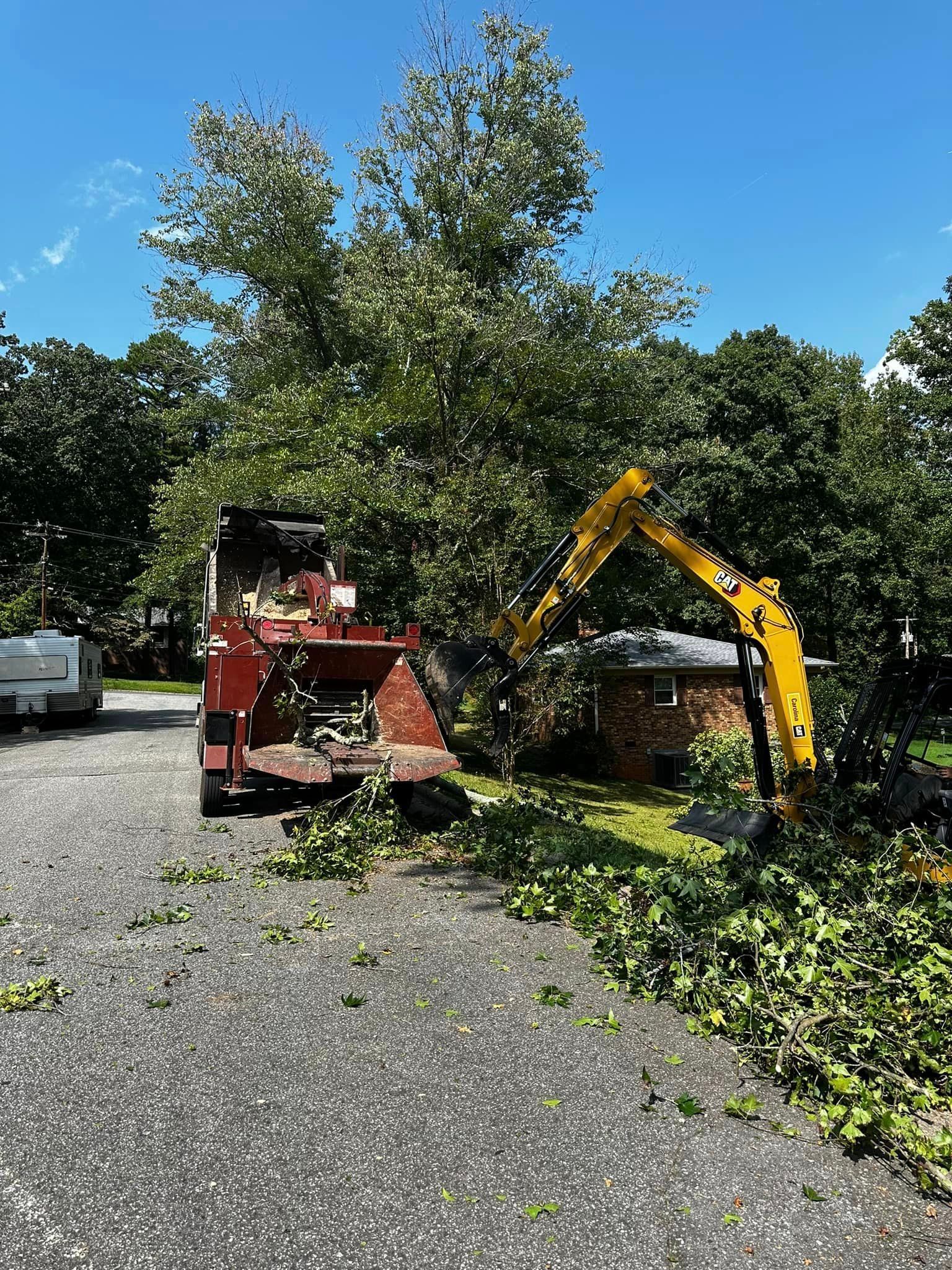 A bulldozer is cutting down a tree in a driveway.