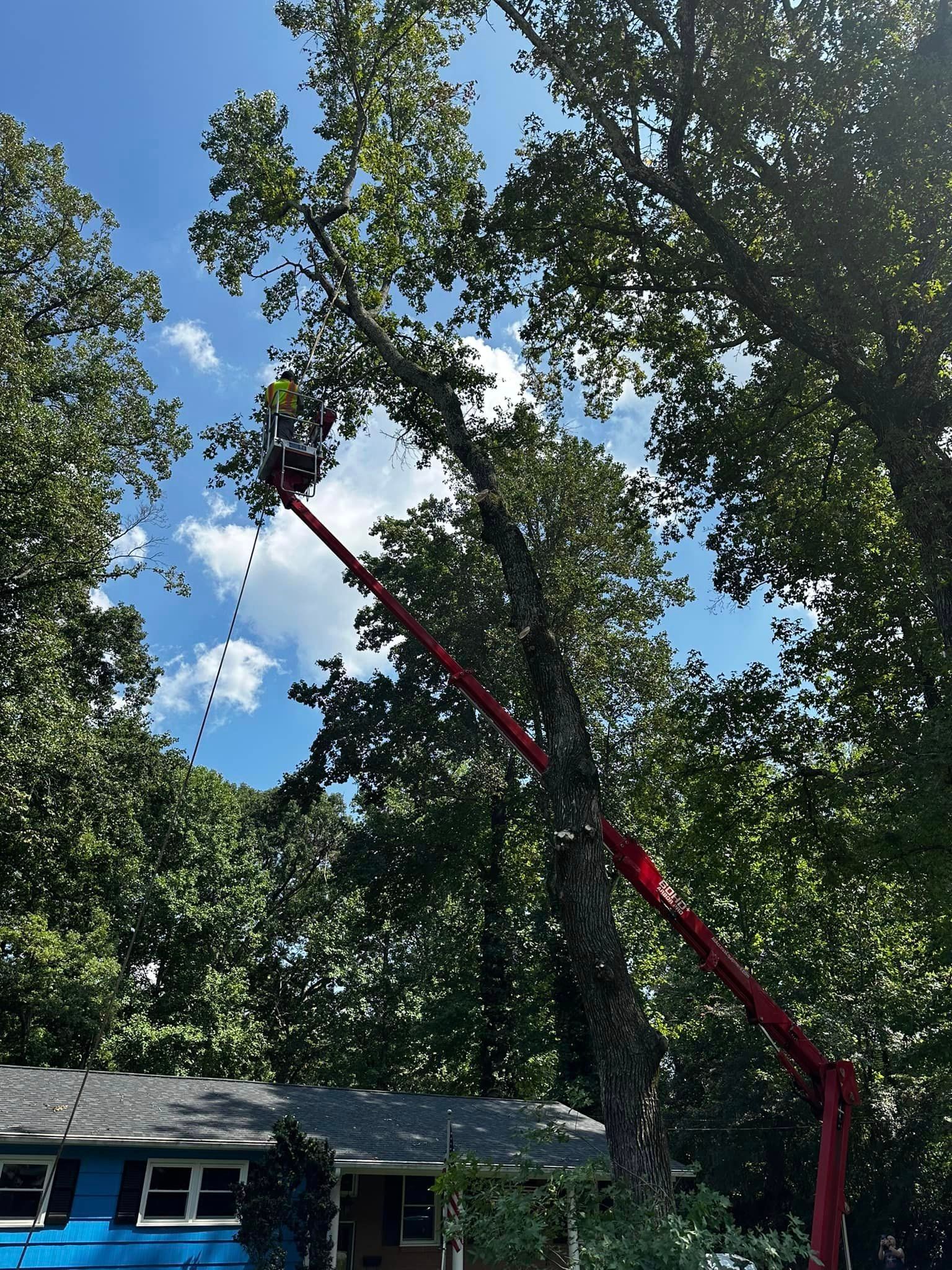 A man is cutting a tree with a crane in front of a house.