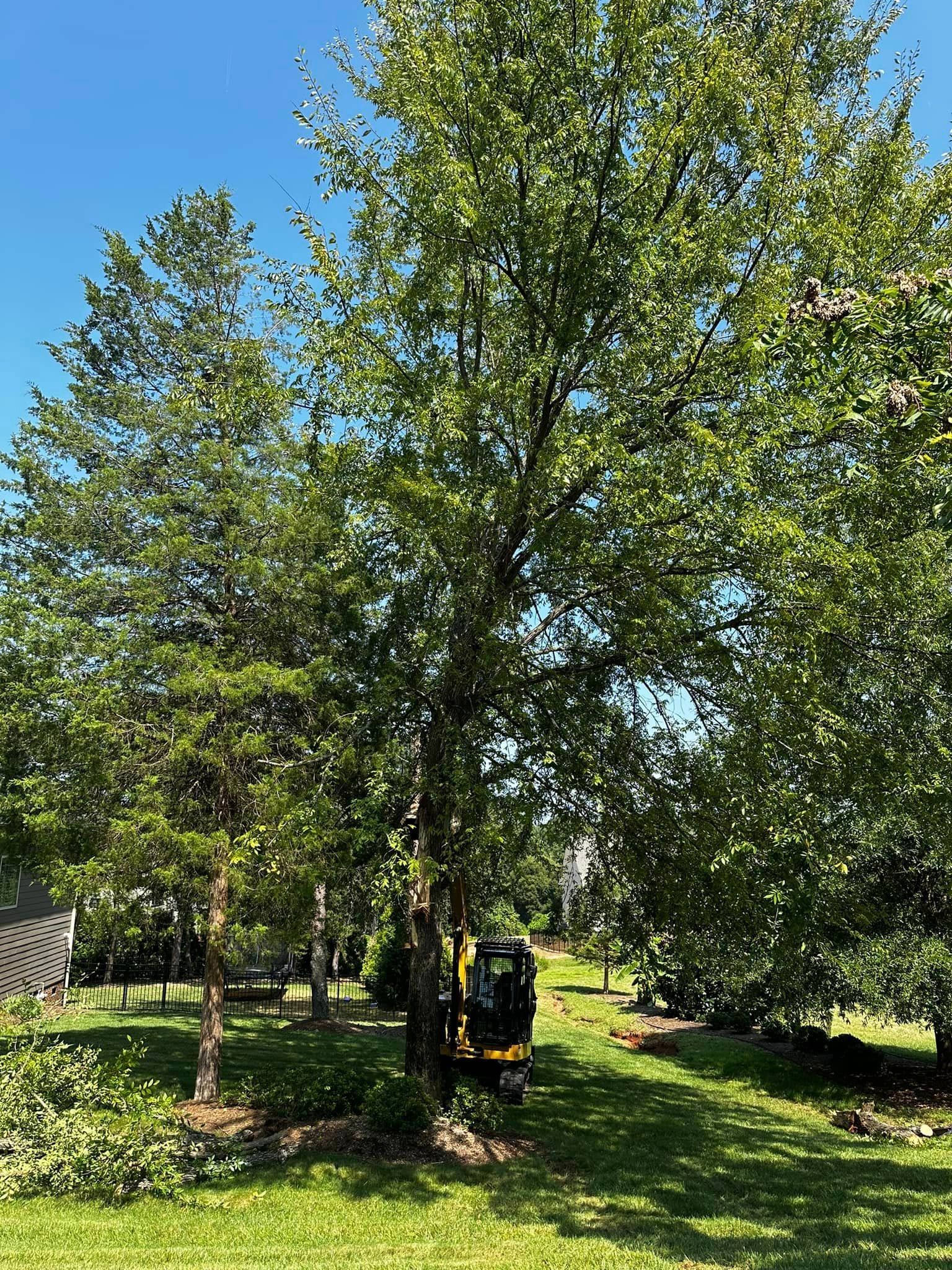 A tractor is cutting down a tree in a park.
