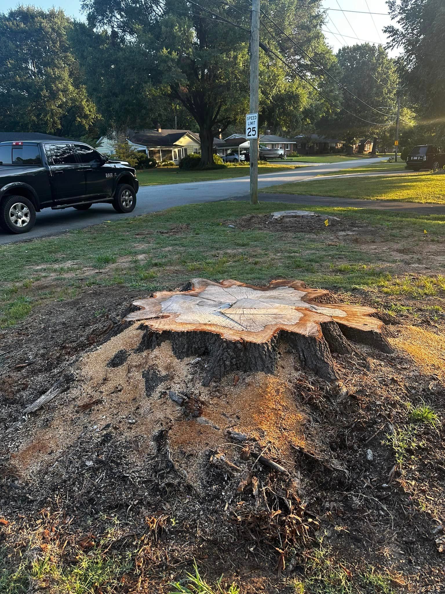A truck is parked in front of a tree stump.