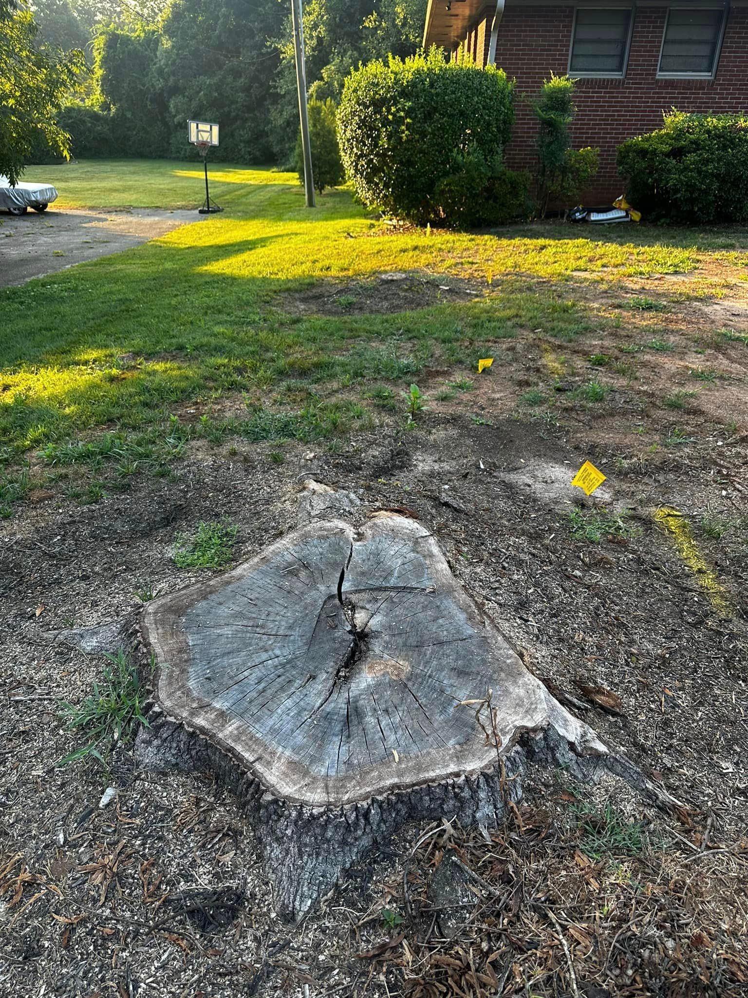 A tree stump in the middle of a yard in front of a house.