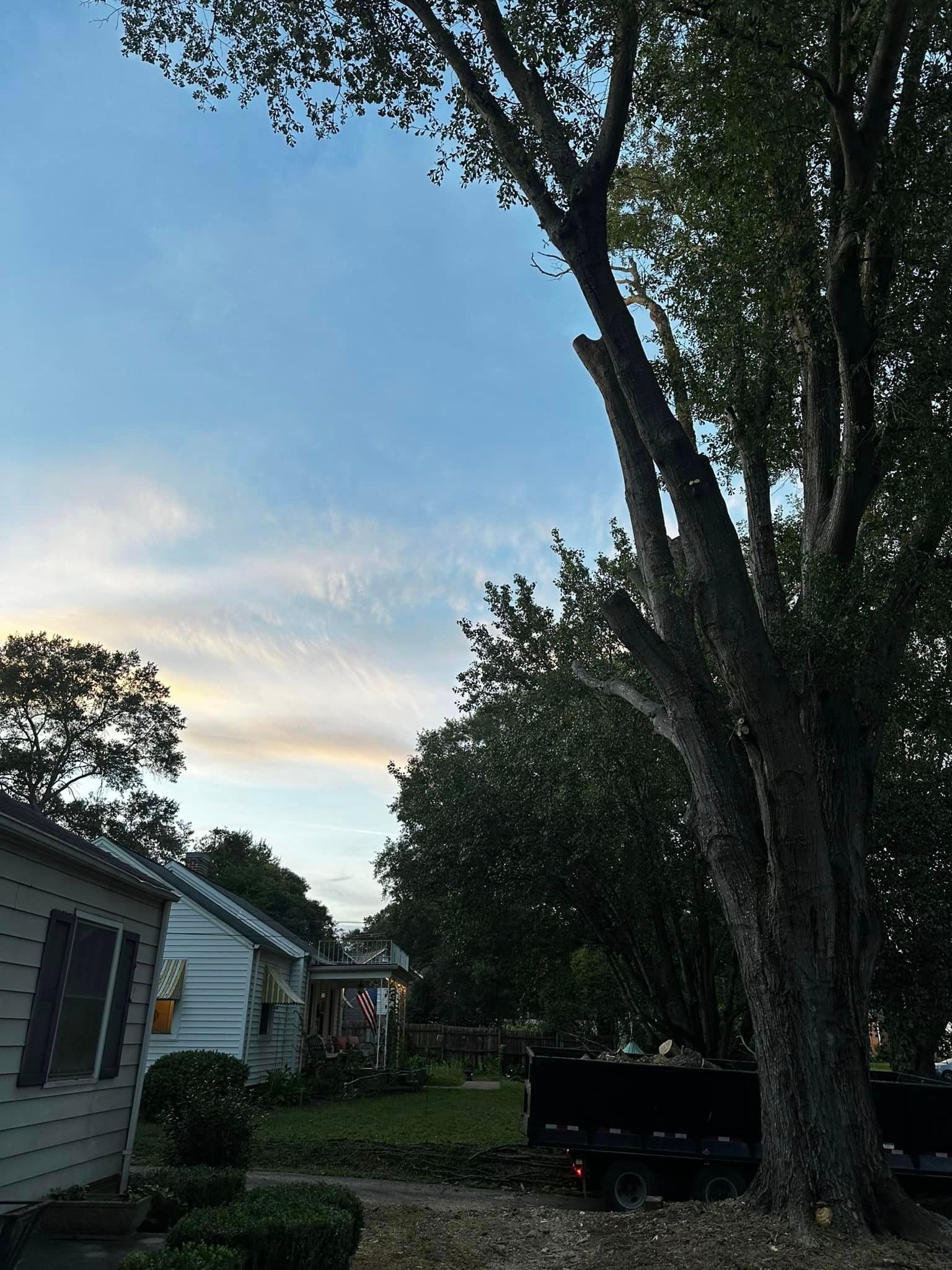 A tree in front of a house with a blue sky in the background.