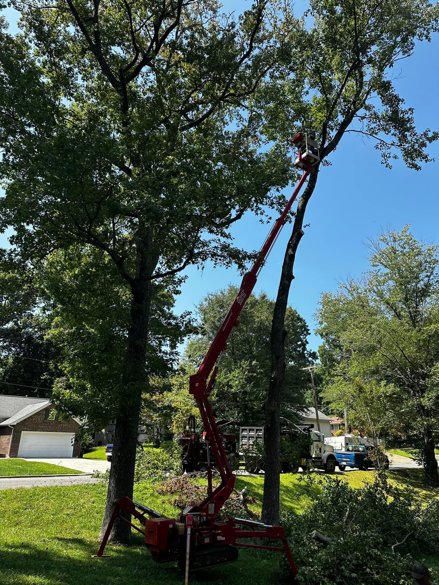 A man is cutting a tree with a crane in a yard.