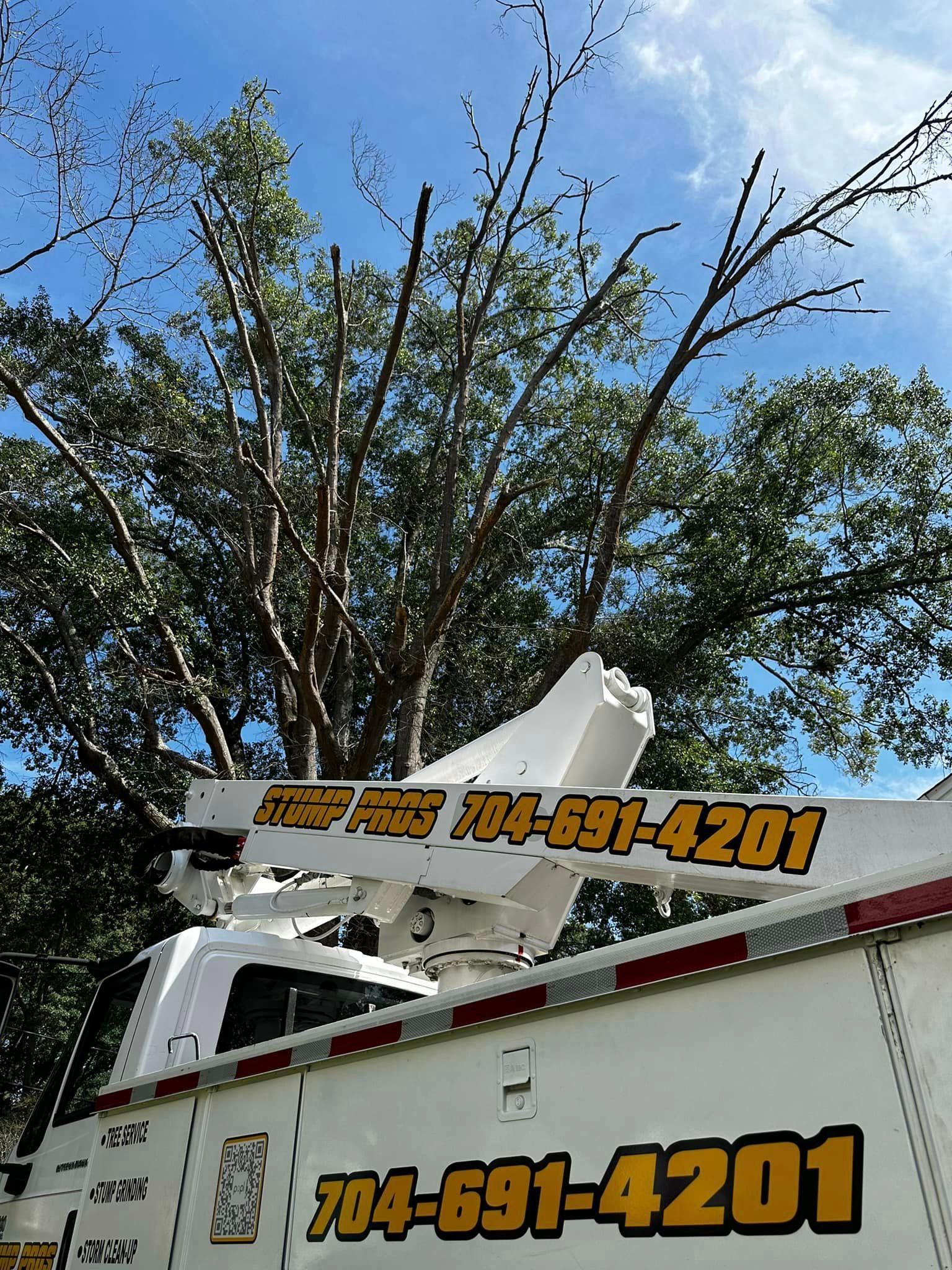 A tree trimming truck with a tree in the background