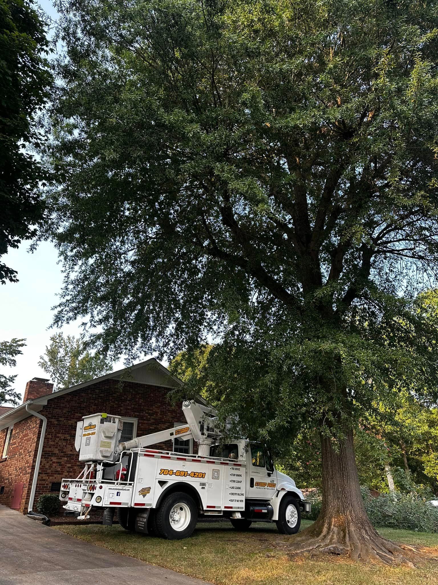 A tree cutting truck is parked in front of a brick building.
