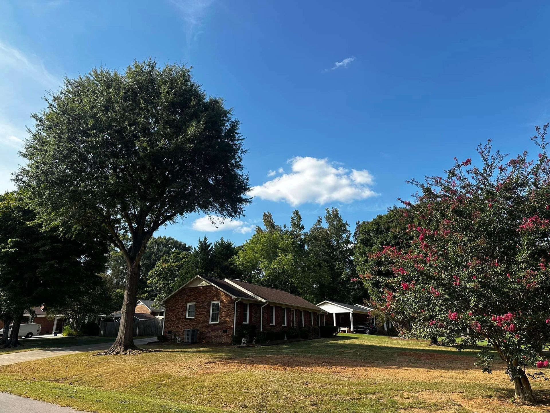 A brick house with a large tree in front of it.