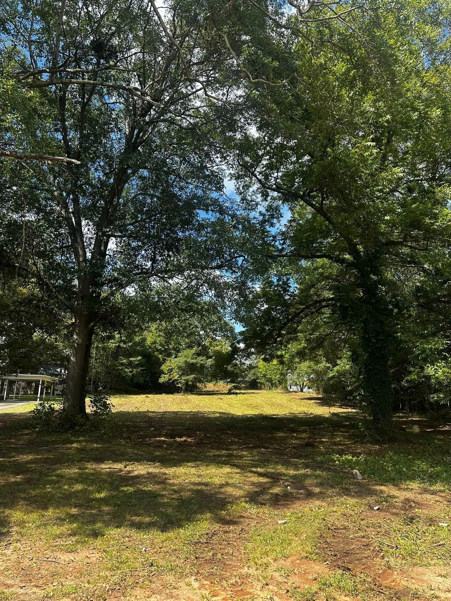 A lush green field surrounded by trees on a sunny day.