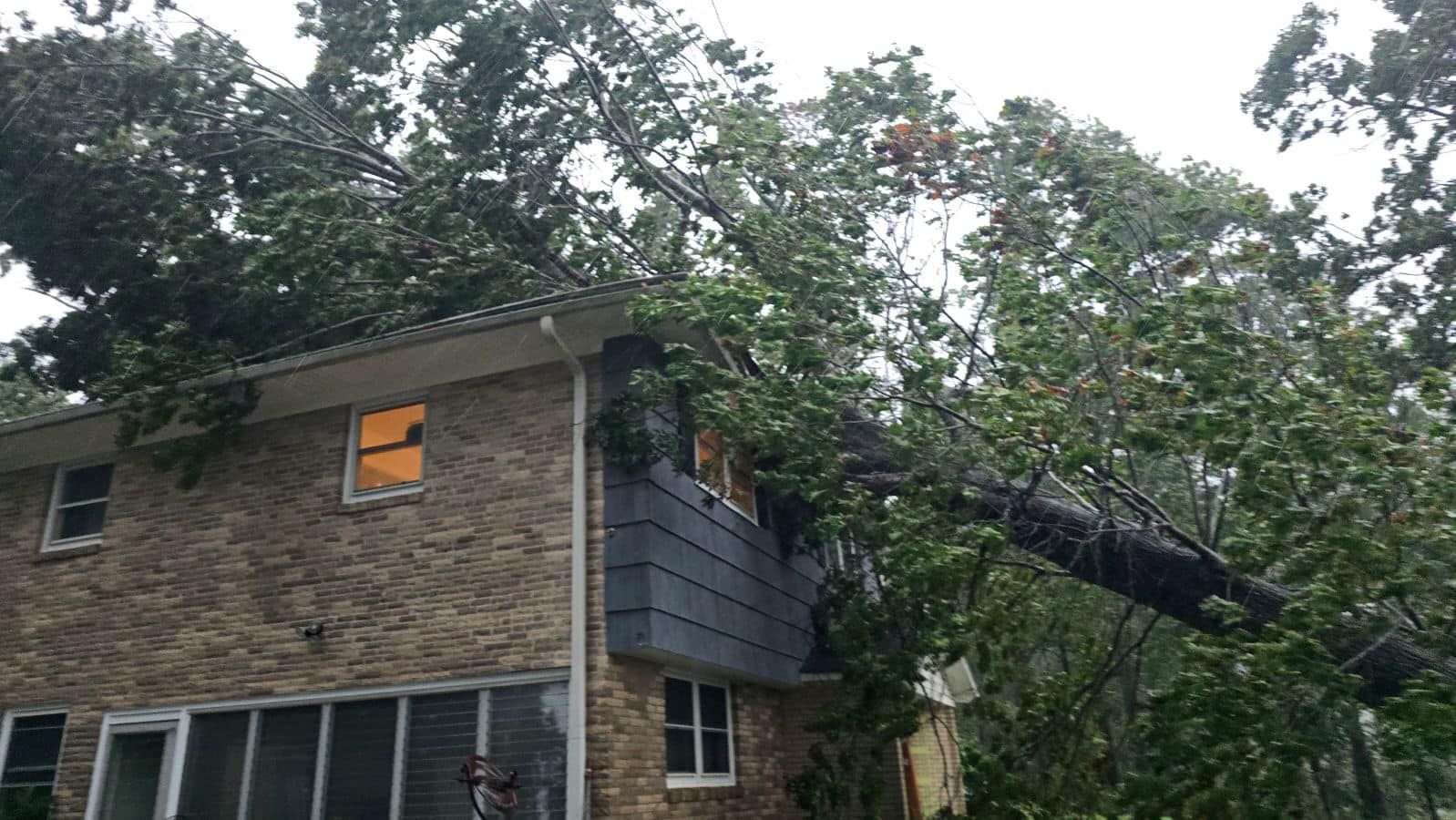 A tree has fallen on top of a brick house.