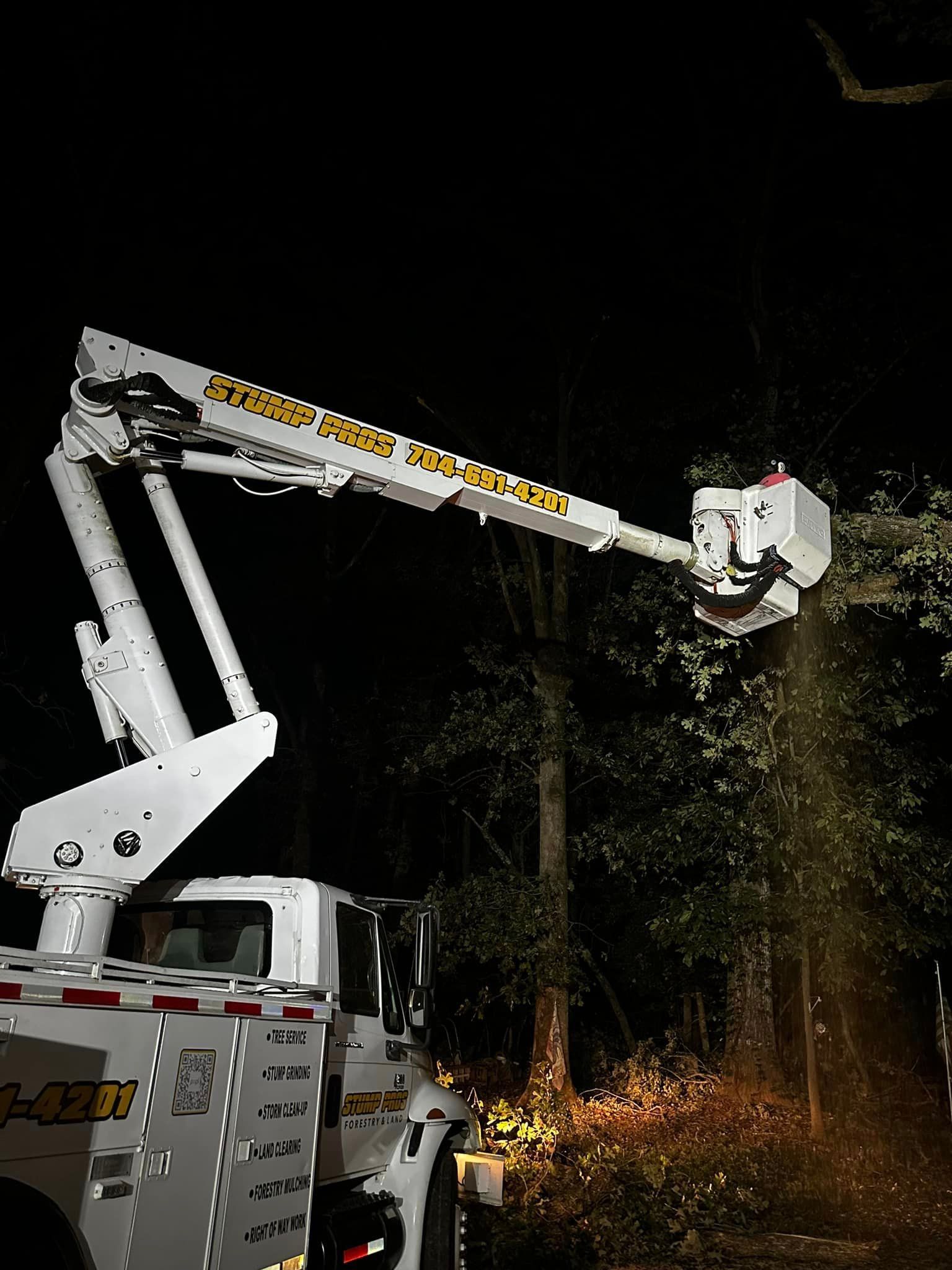 A truck with a crane attached to it is working on a tree at night.