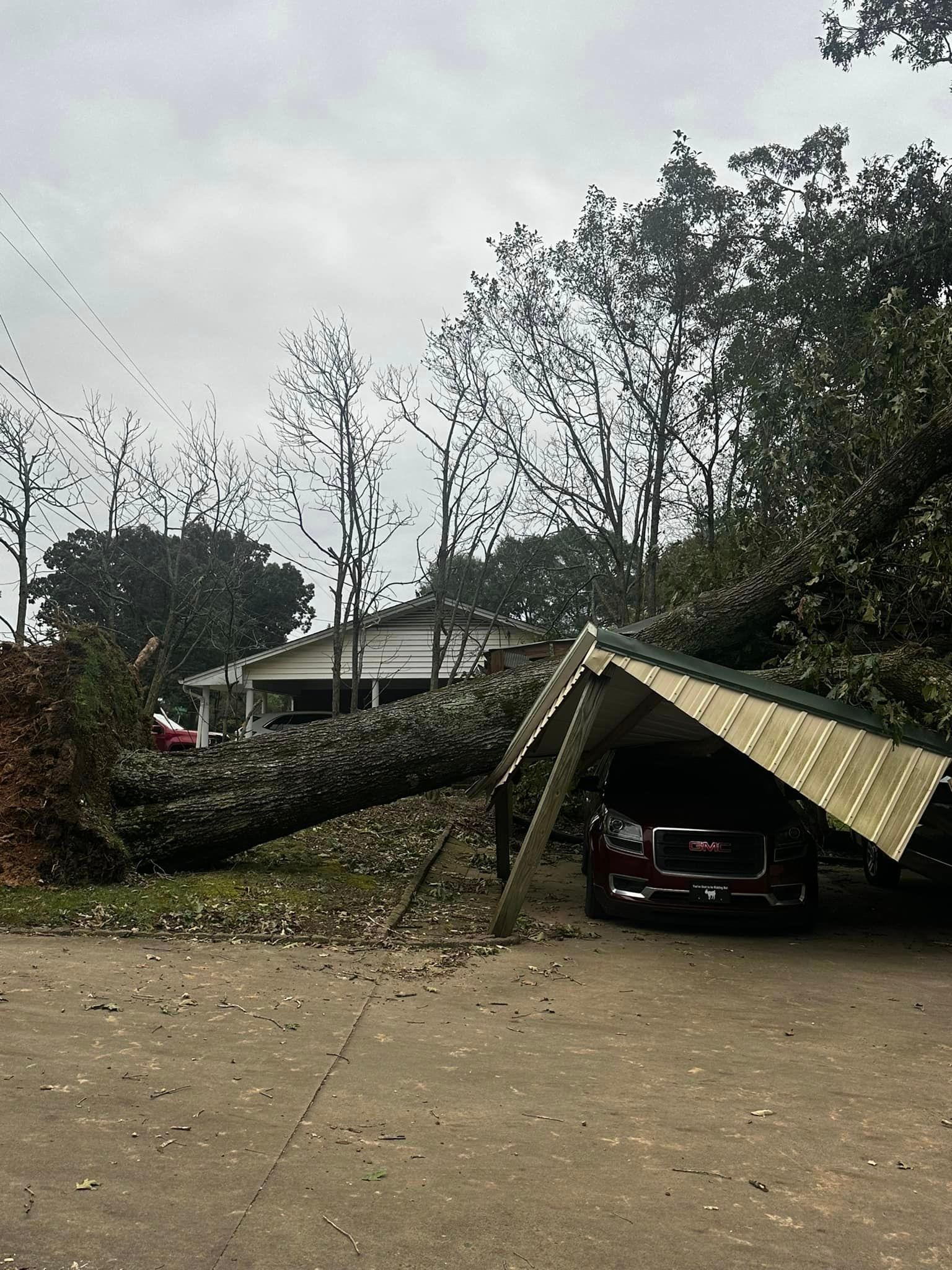 A tree has fallen on a car in a parking lot.