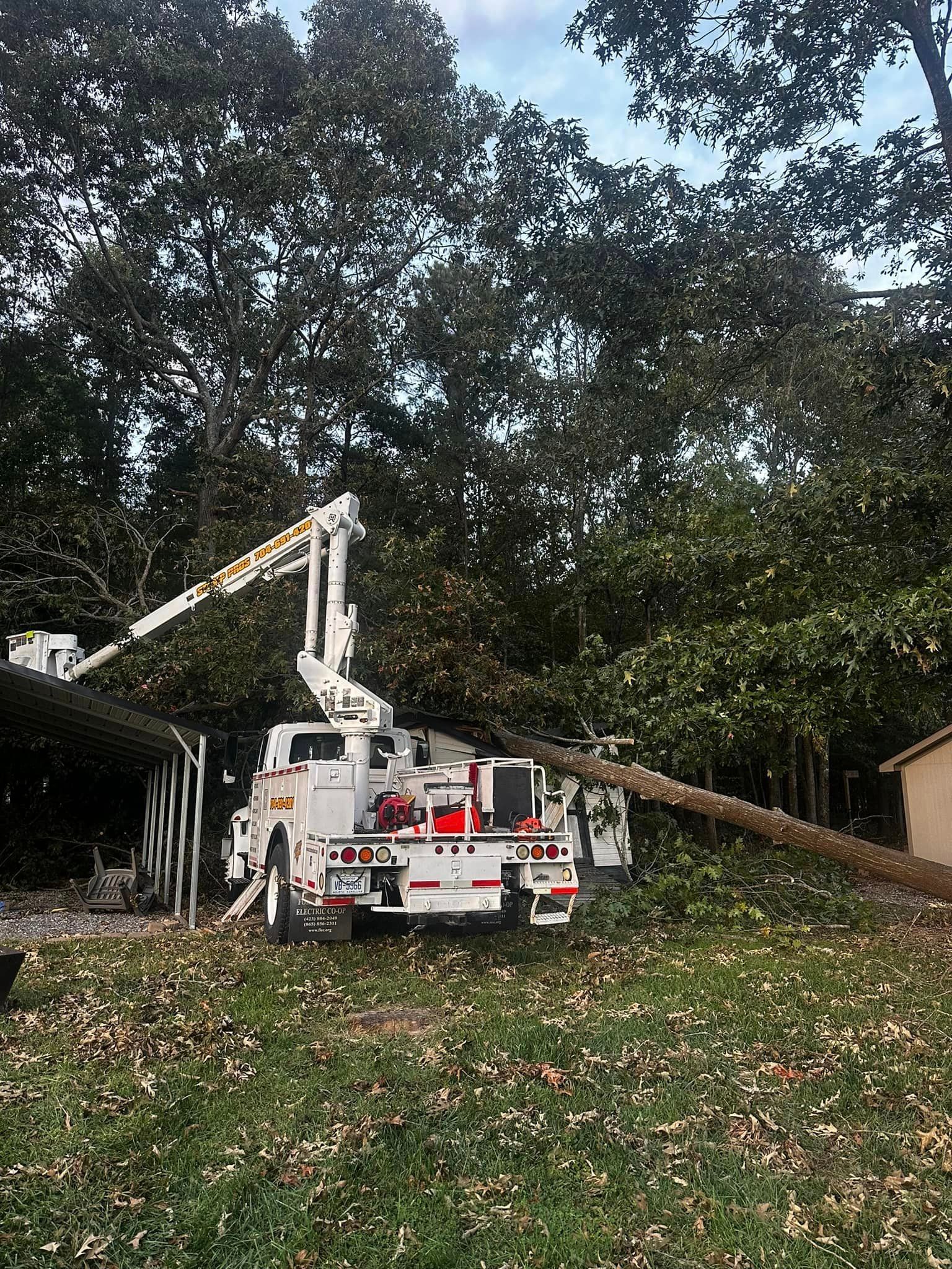 A truck with a crane attached to it is cutting a tree in a yard.