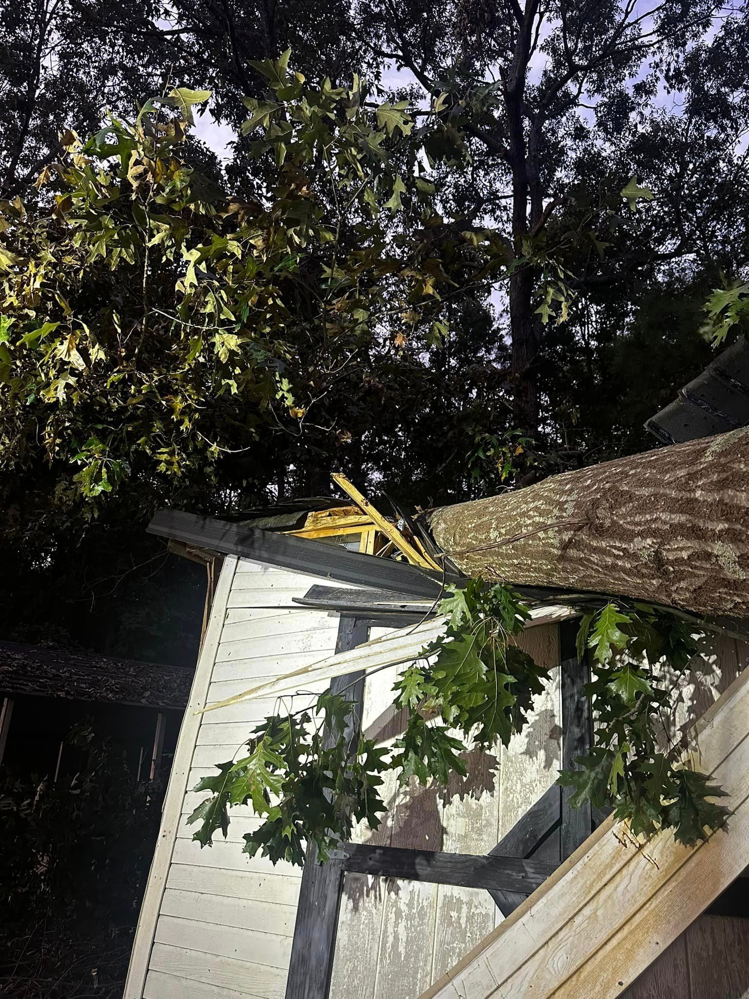 A tree has fallen on the roof of a house.