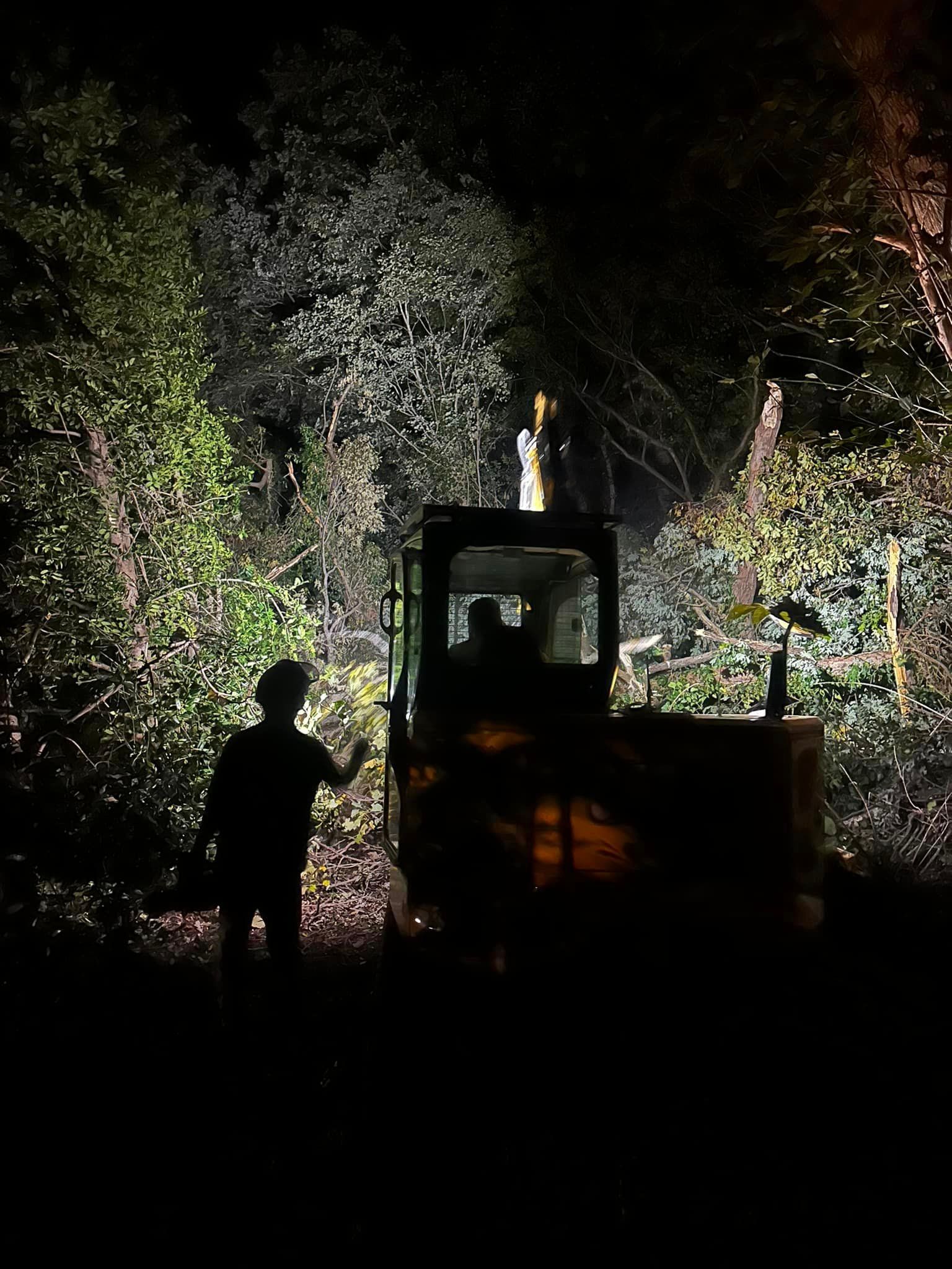 A man is standing next to a bulldozer in the woods at night.