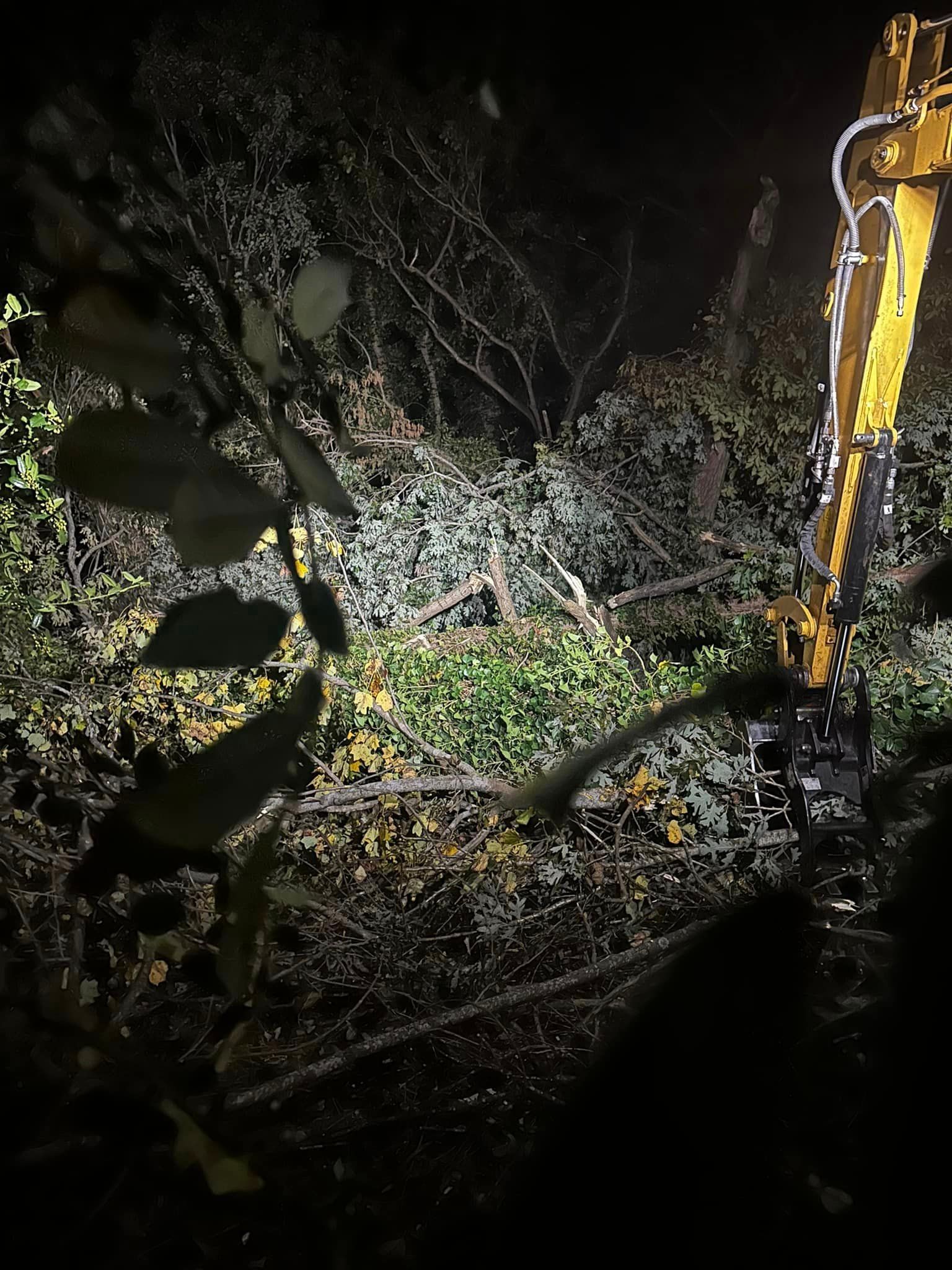 A yellow excavator is working in the woods at night.