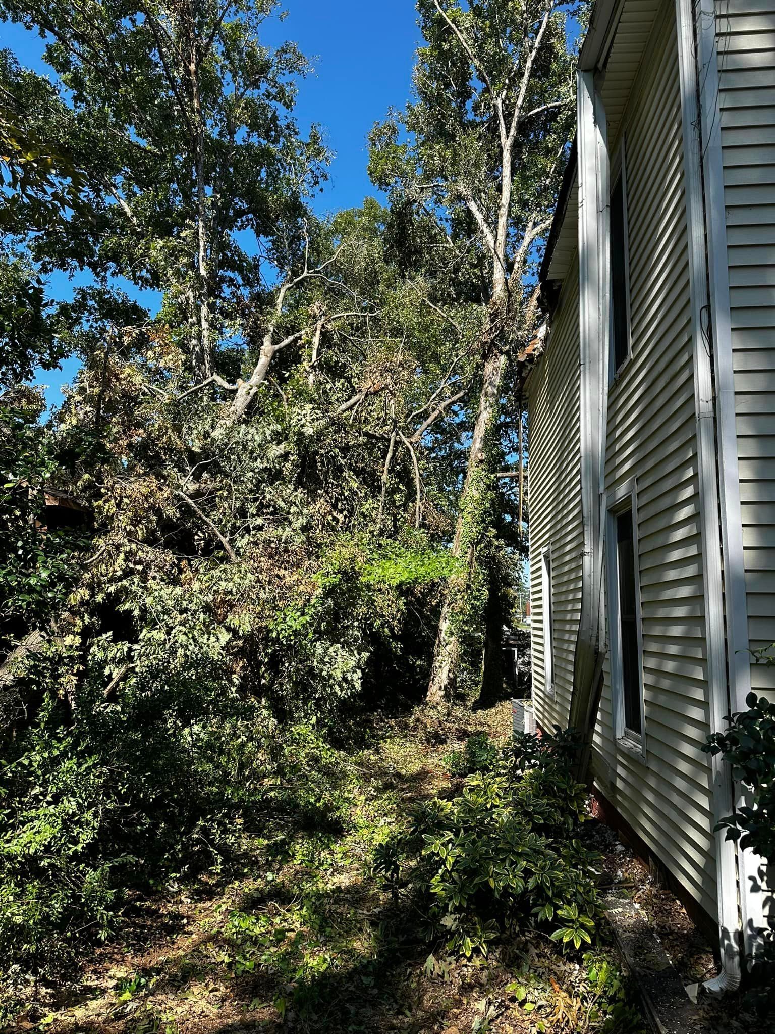 A white house is surrounded by trees and bushes on a sunny day.