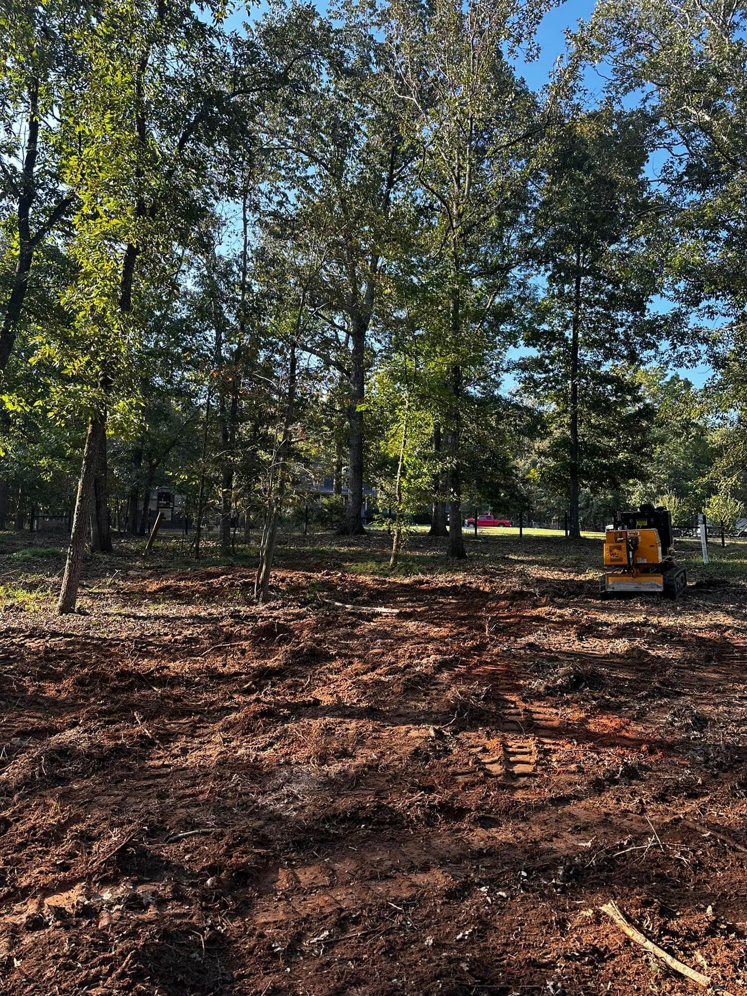 A bulldozer is sitting in the middle of a forest.