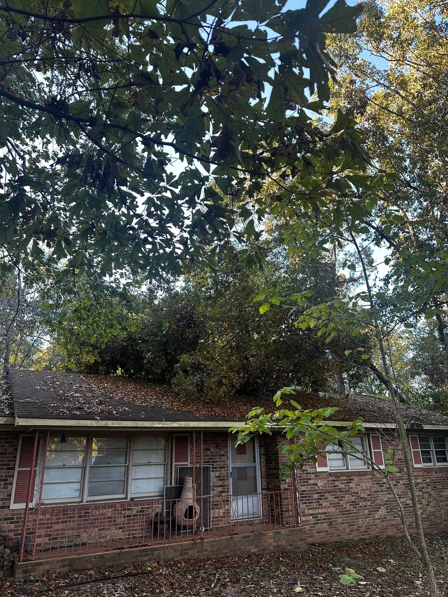 A brick house is surrounded by trees and leaves.