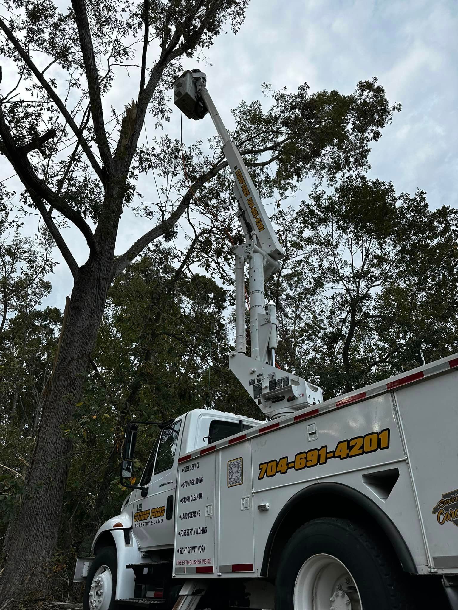 A white truck with a crane on the back is cutting a tree.