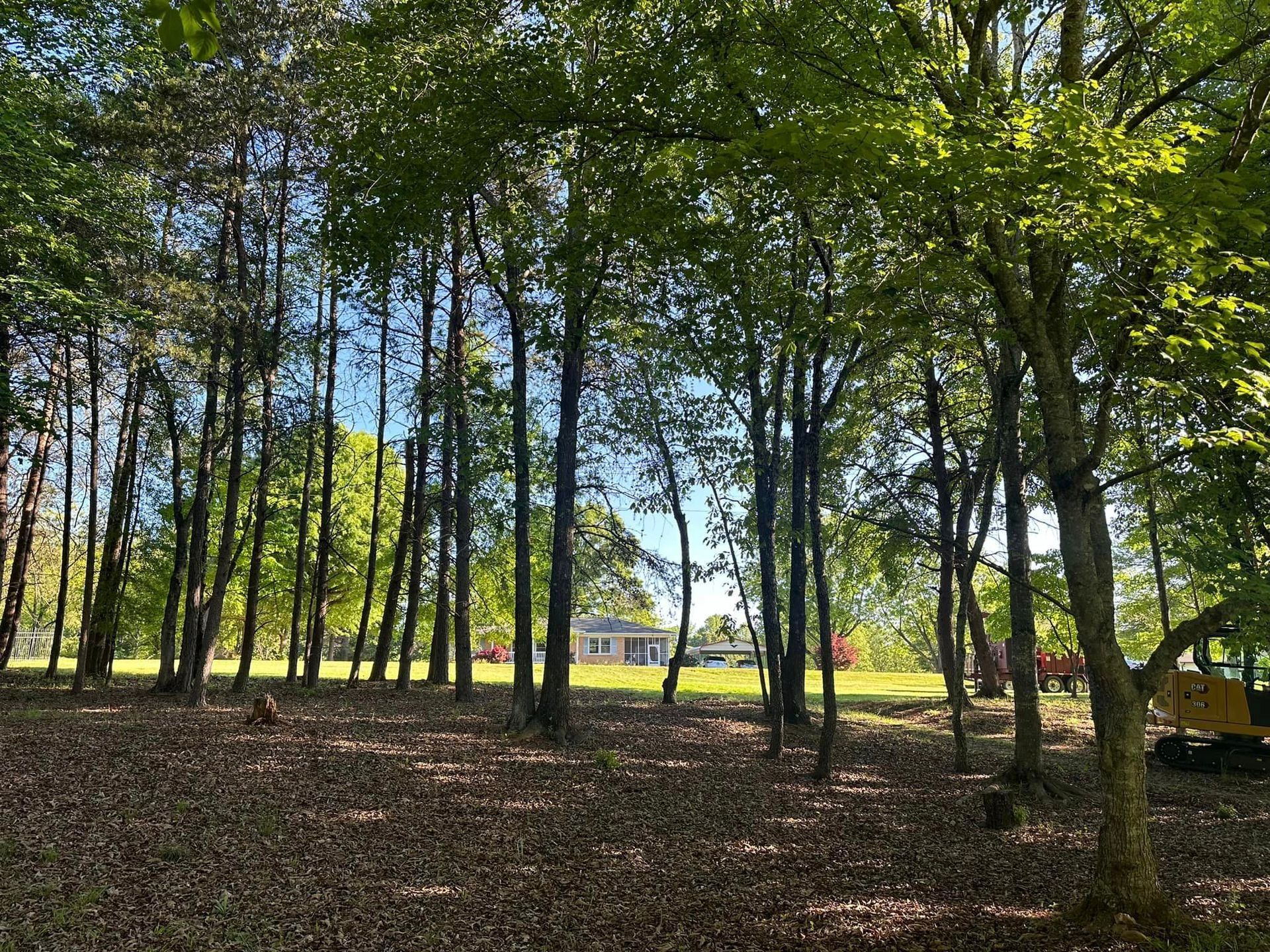 A house is visible through the trees in the middle of a forest.