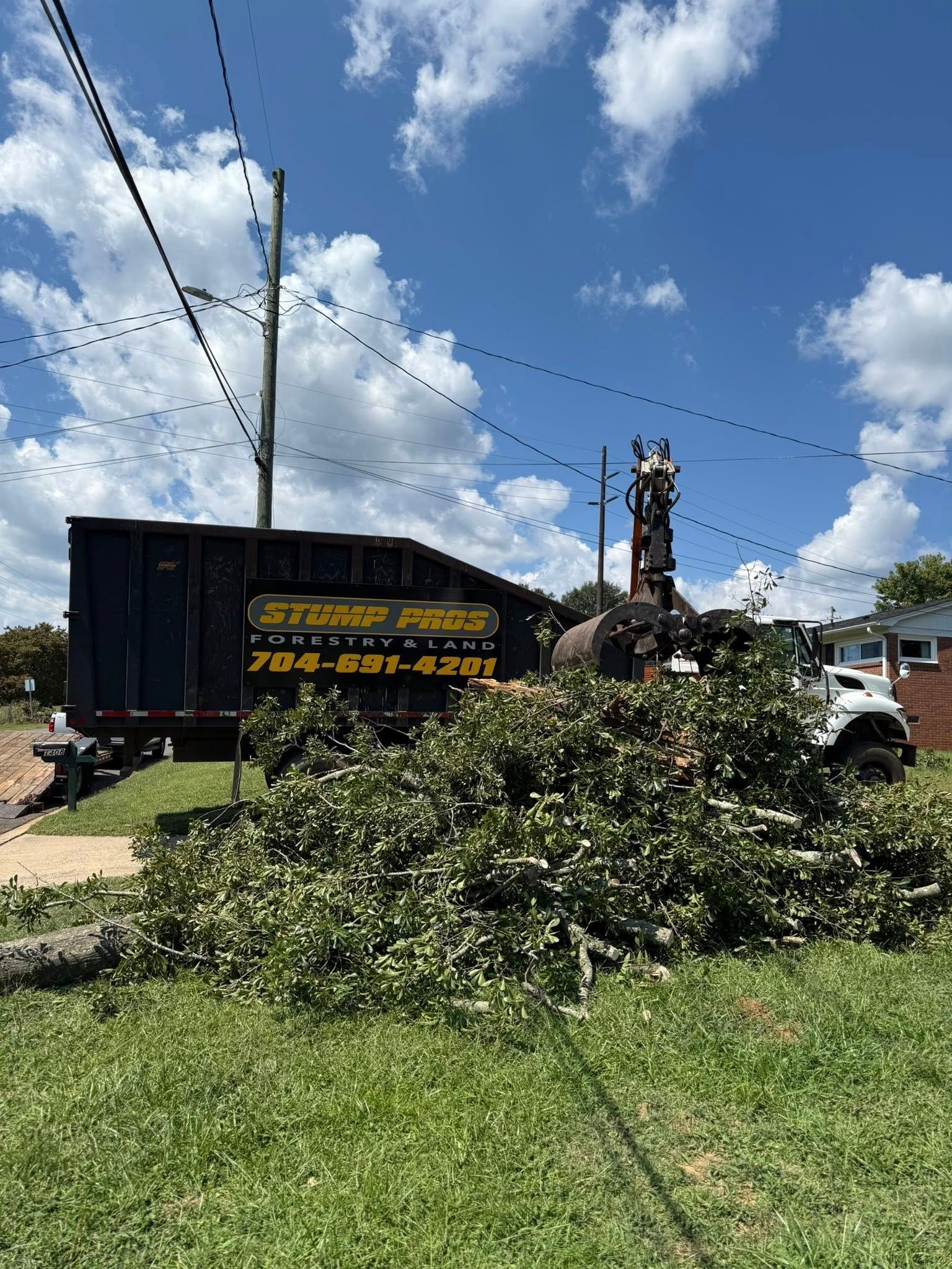 A truck with a dumpster filled with tree branches parked on grass under a blue sky.