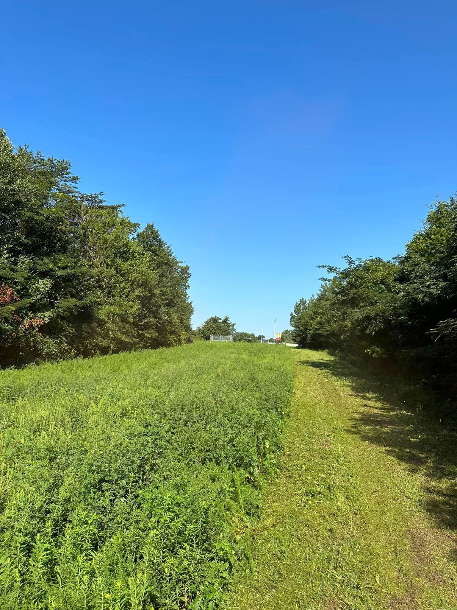 A grassy field with trees on both sides and a blue sky in the background.
