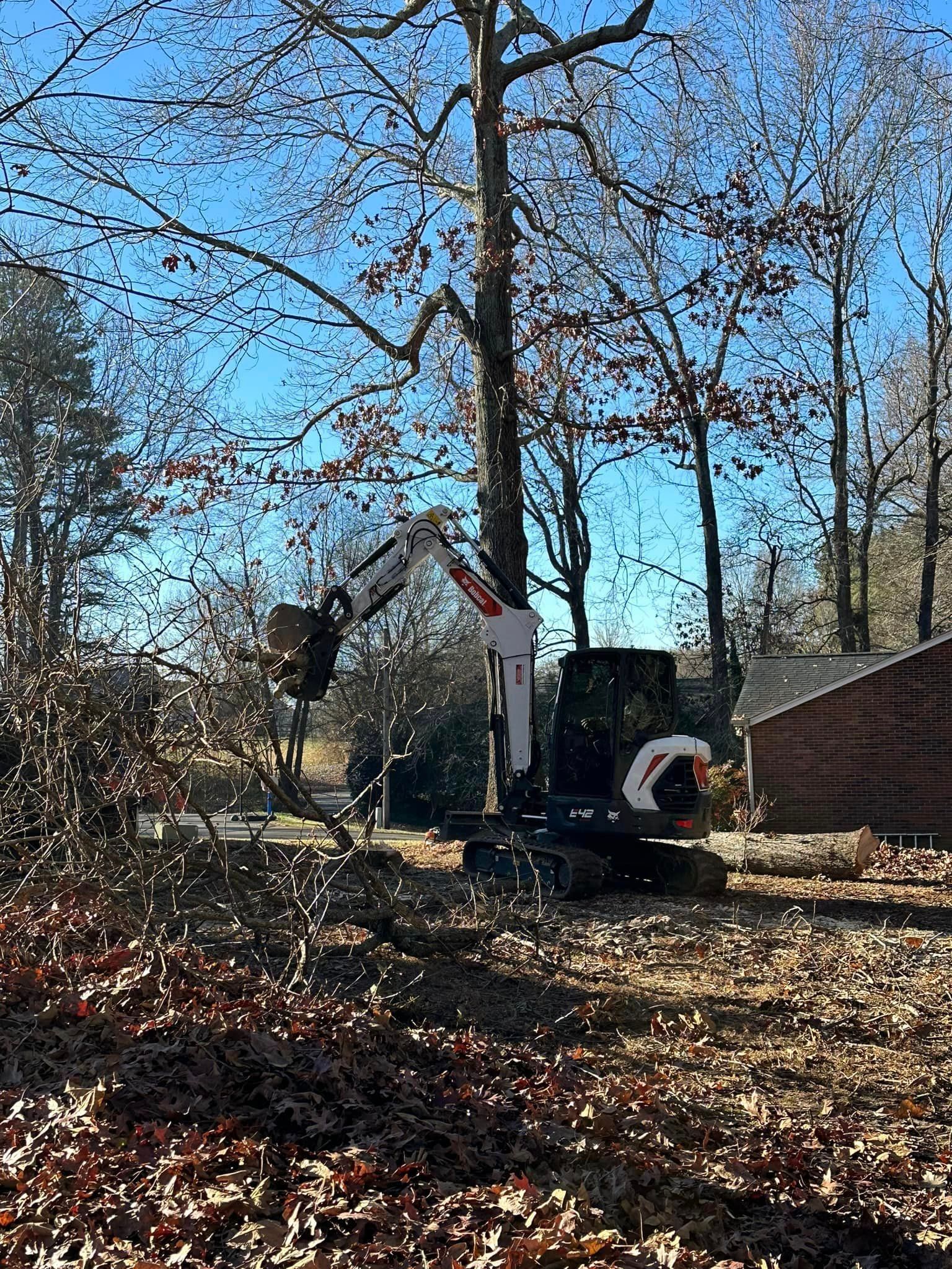 A bulldozer is cutting down a tree in a yard.