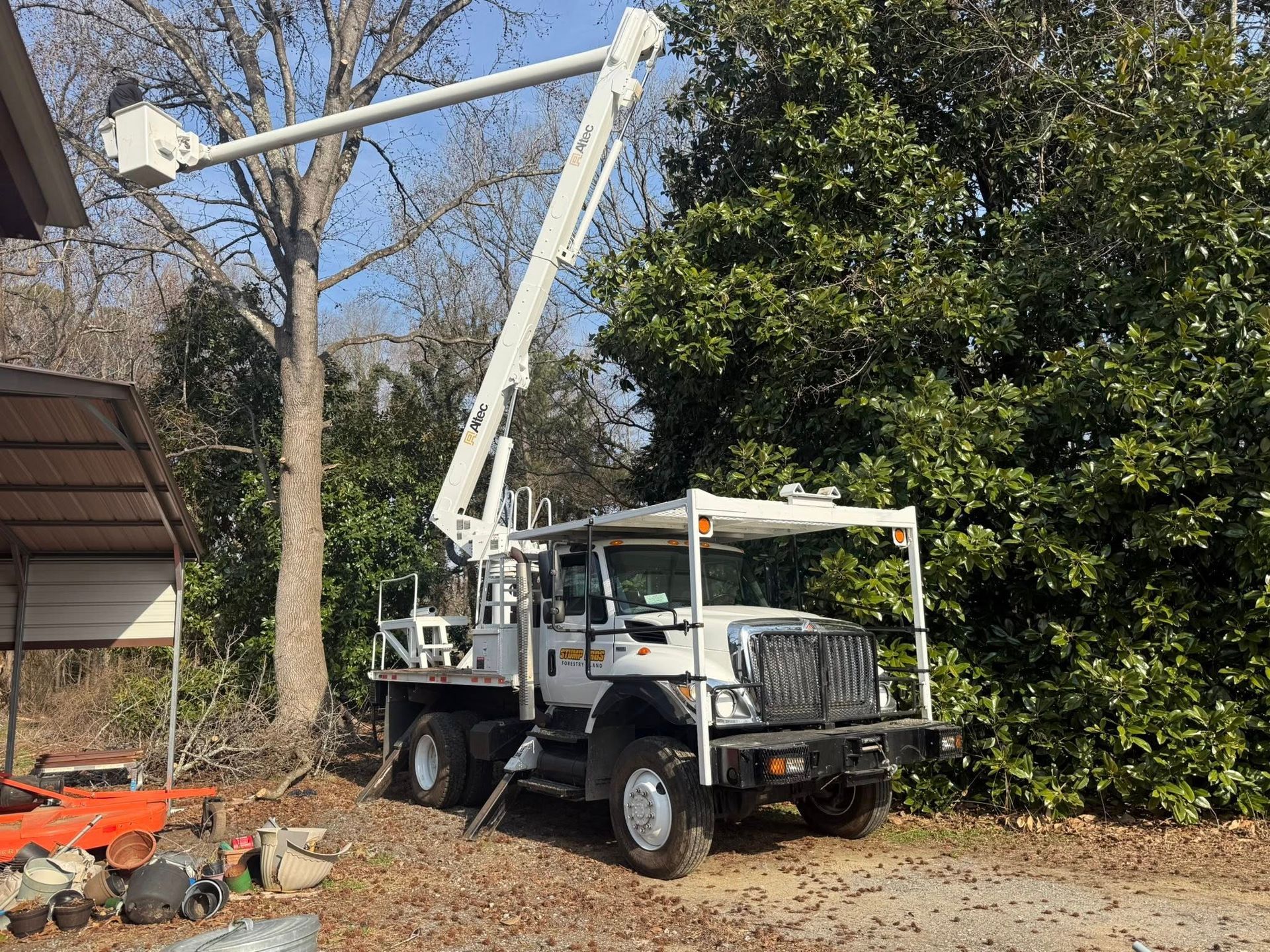 A yellow stump grinder is grinding a tree stump in a yard.
