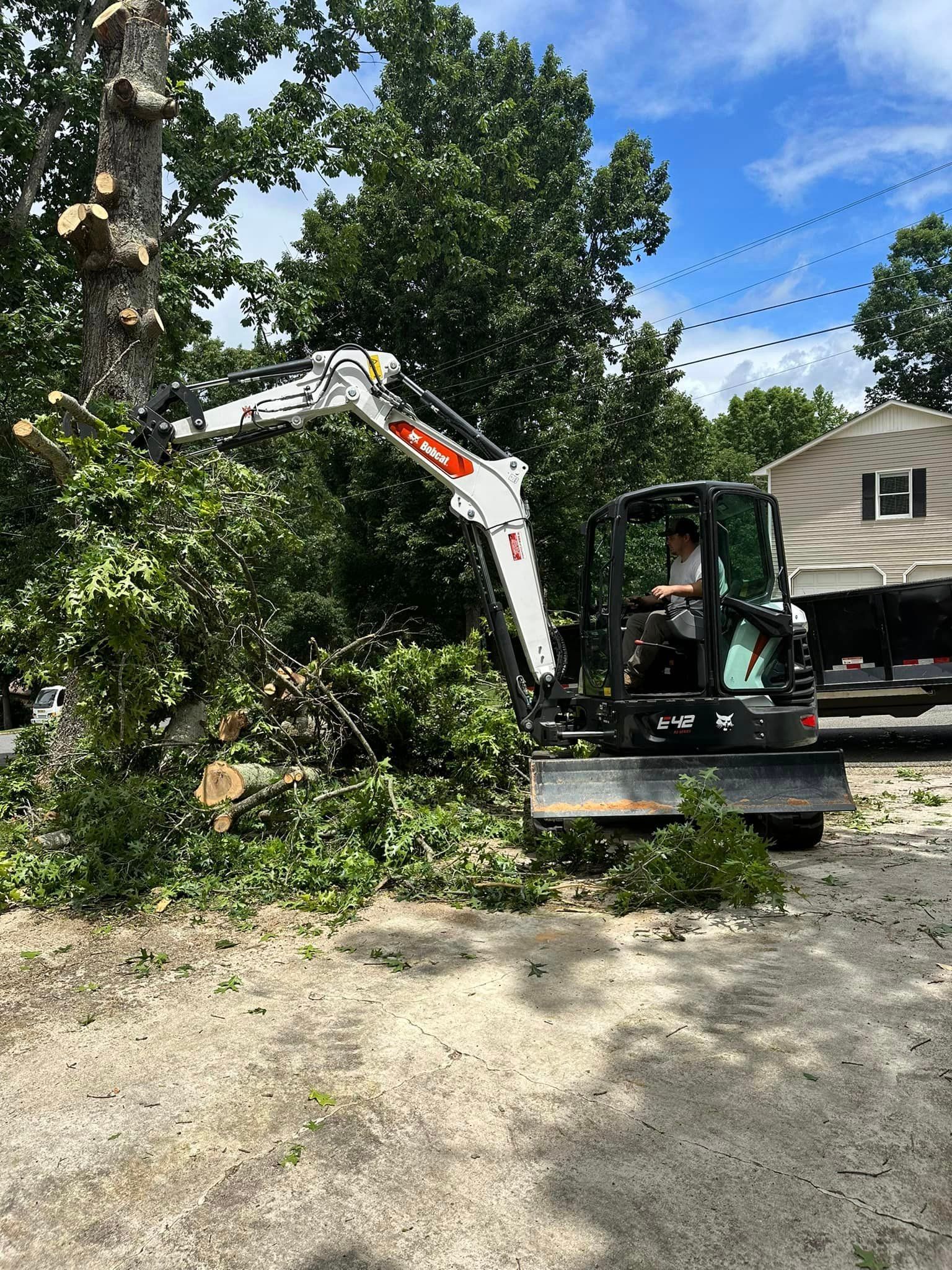A man is driving a small excavator in a driveway next to a tree.
