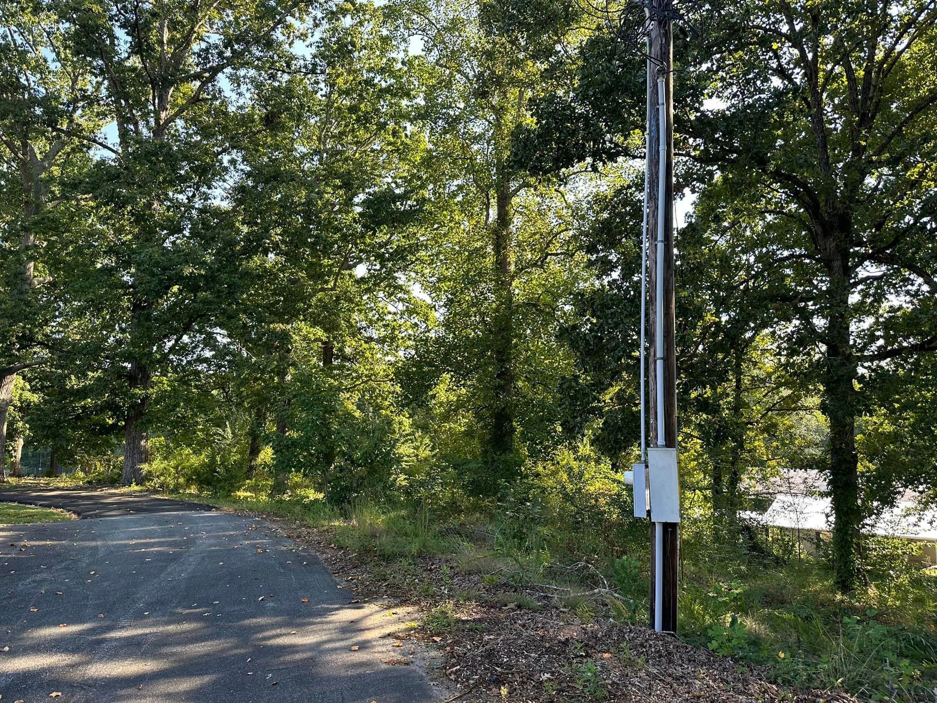 A telephone pole is sitting on the side of a road in the middle of a forest.