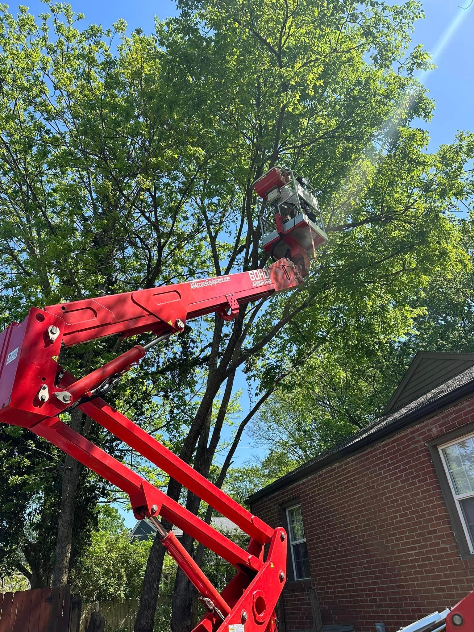 A man is cutting a tree with a crane in front of a brick house.
