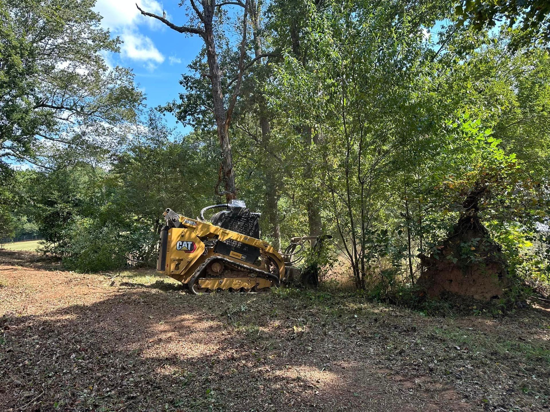 A bulldozer is sitting in the middle of a forest.