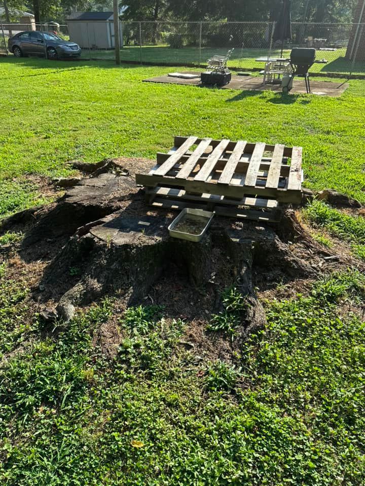 A wooden pallet is sitting on top of a stump in a park.